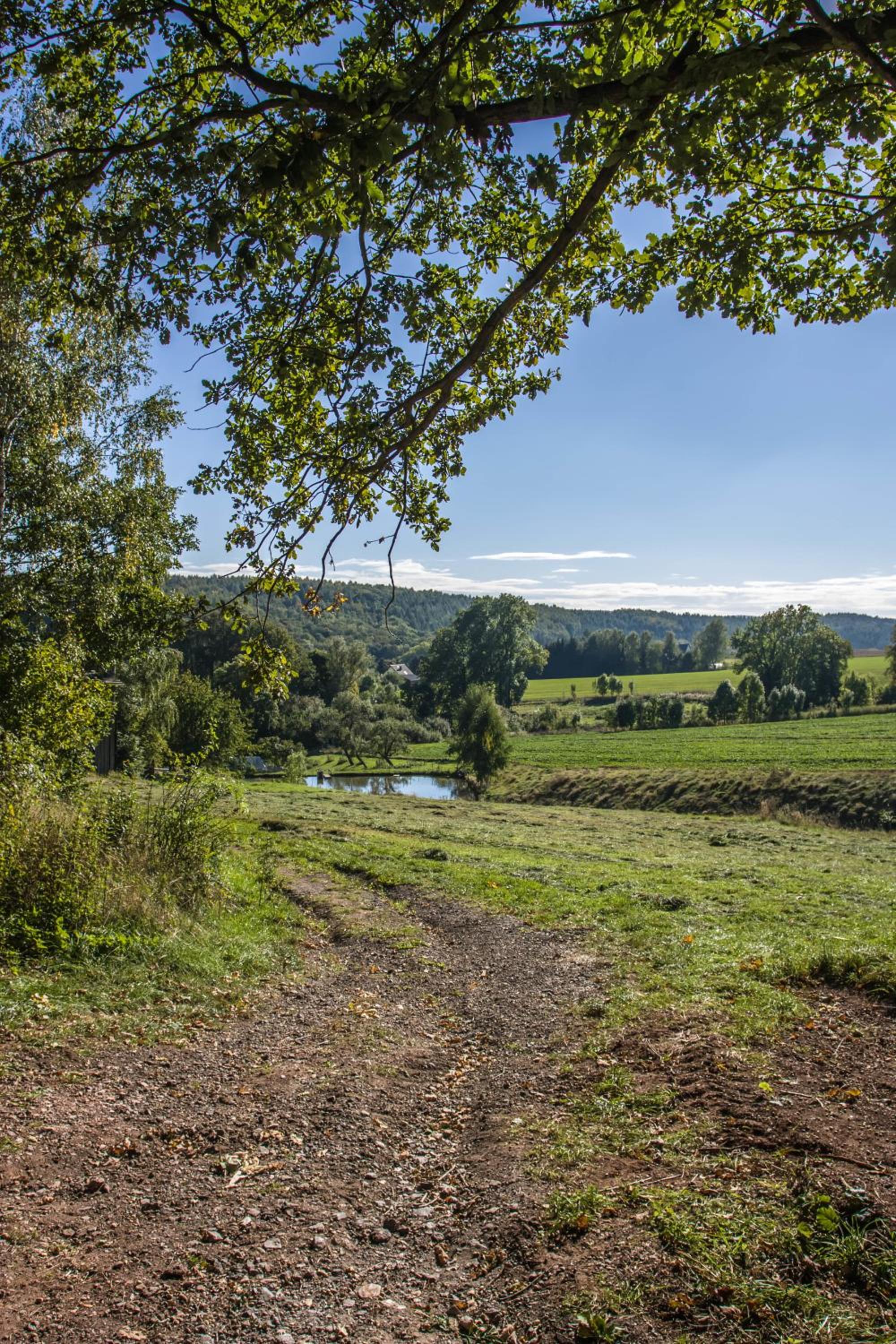 Landhotel Gutshof - Property Image 72