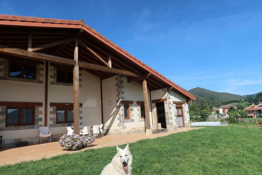 Ven y disfruta en el corazón de Bizkaia-Urdaibai LBI00509 view 5