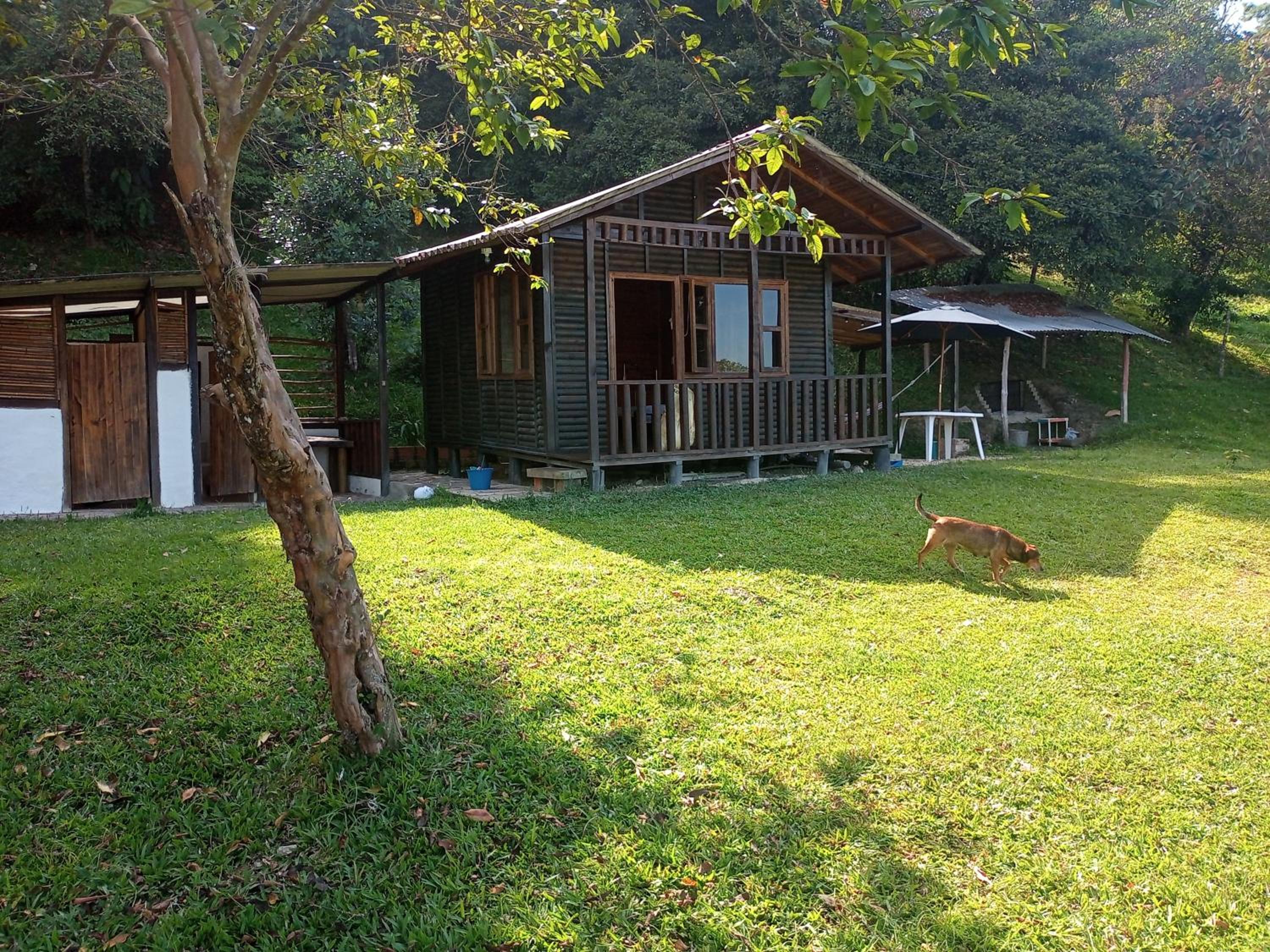 Eco-Cabanas Altozano Nimaima - Property Image 37