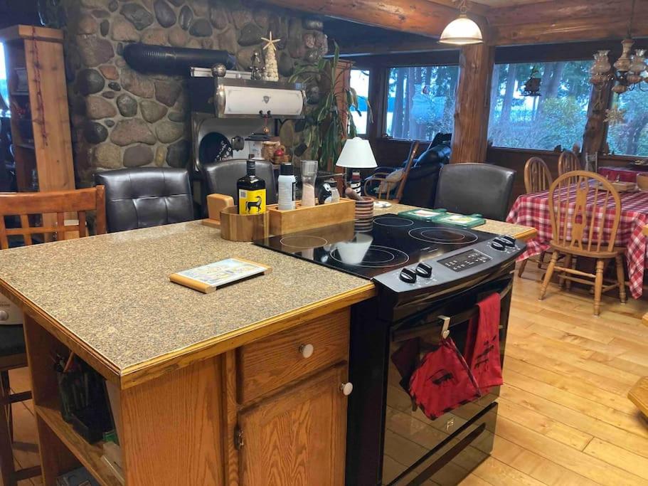 Union Bay Log Home