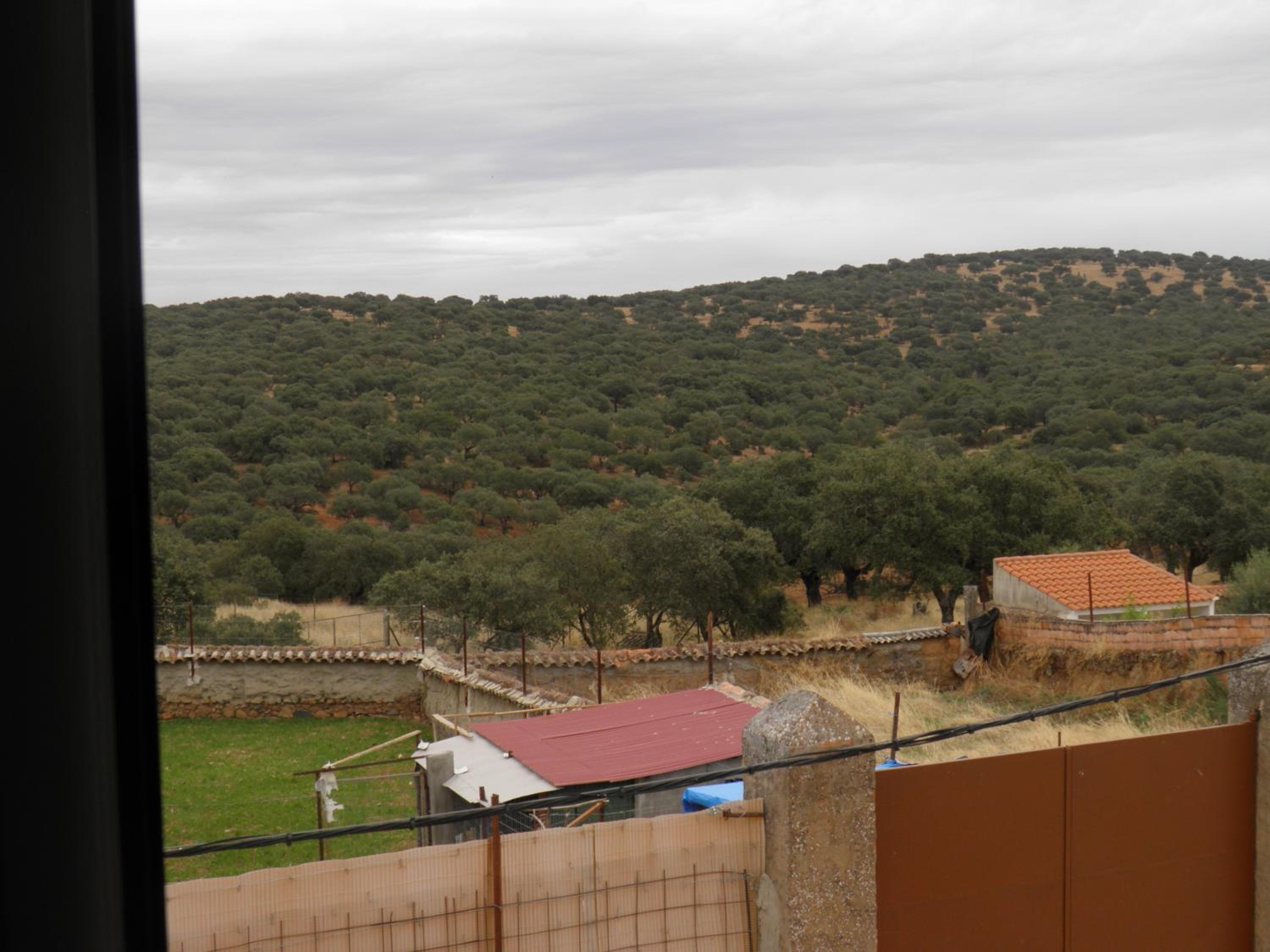 LA GINETA