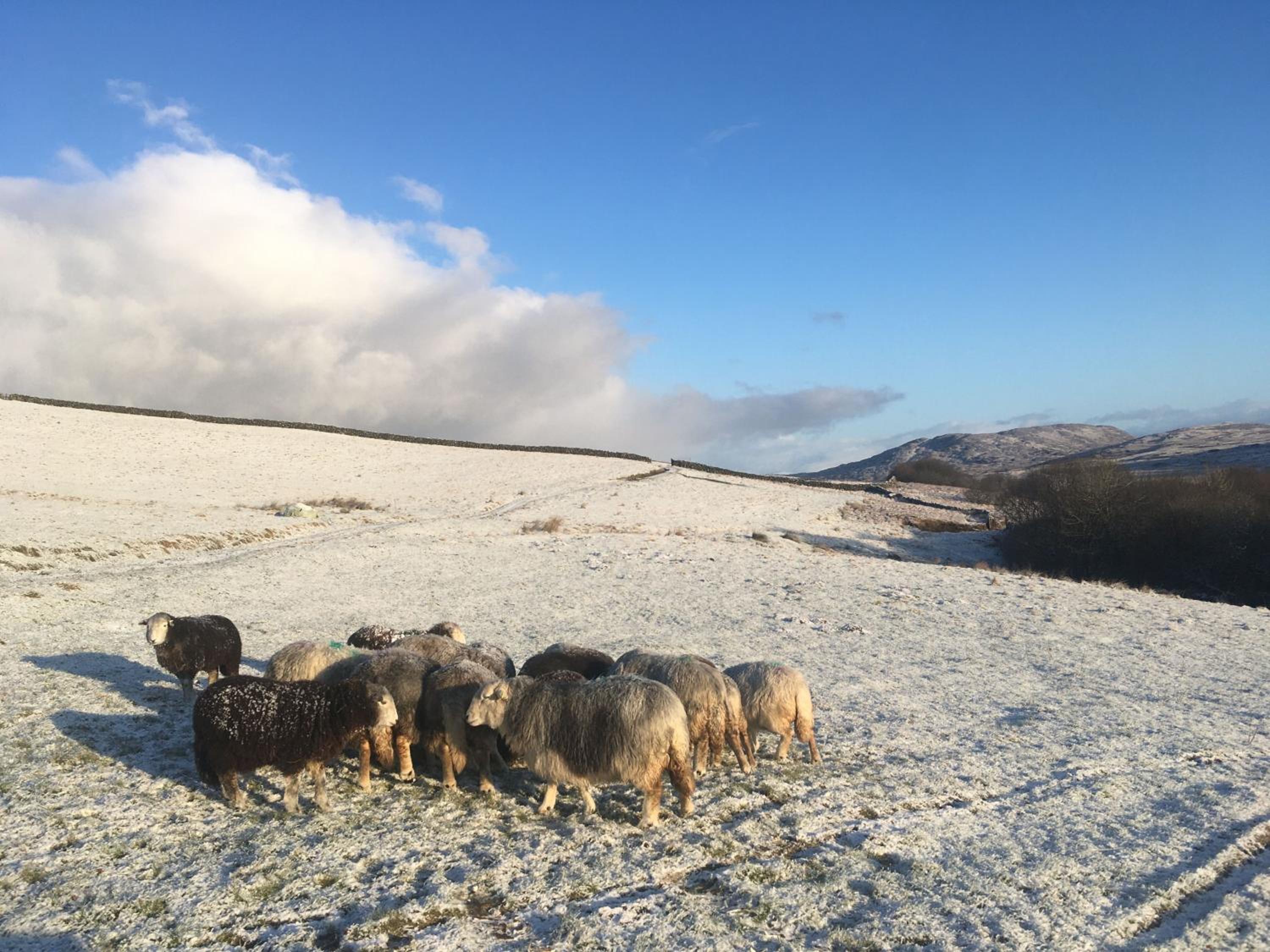 Grobdale Byre