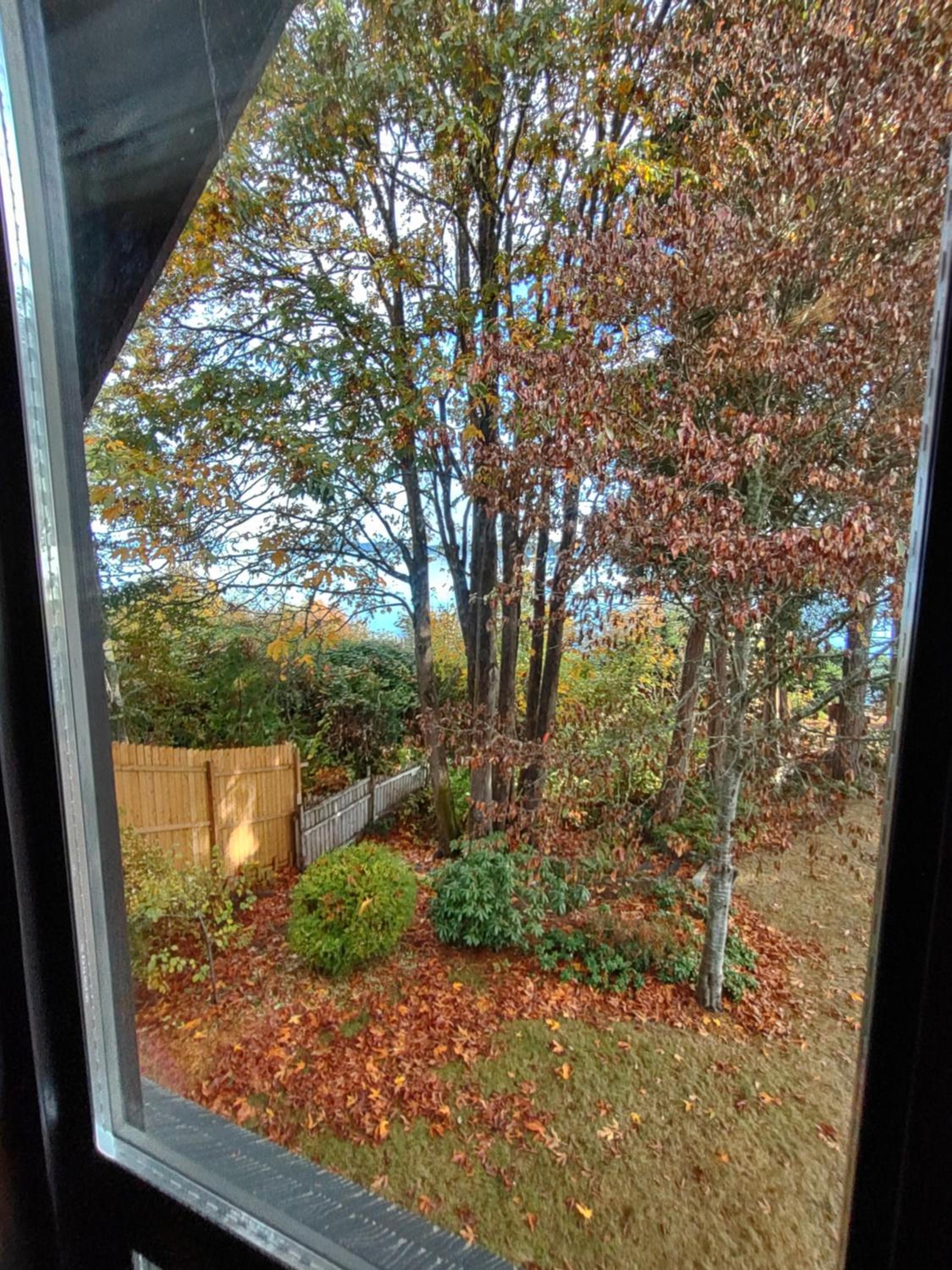 Union Bay Log Home