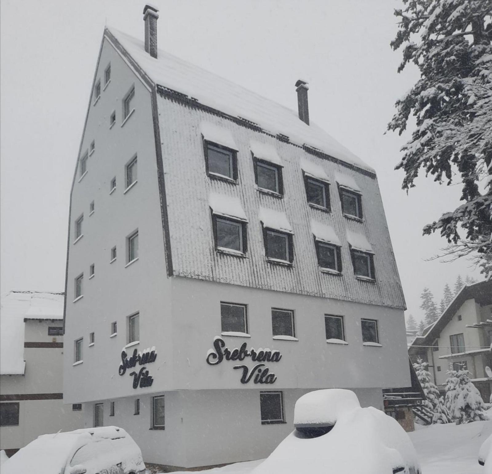 Apartman Srebrena Vila 9