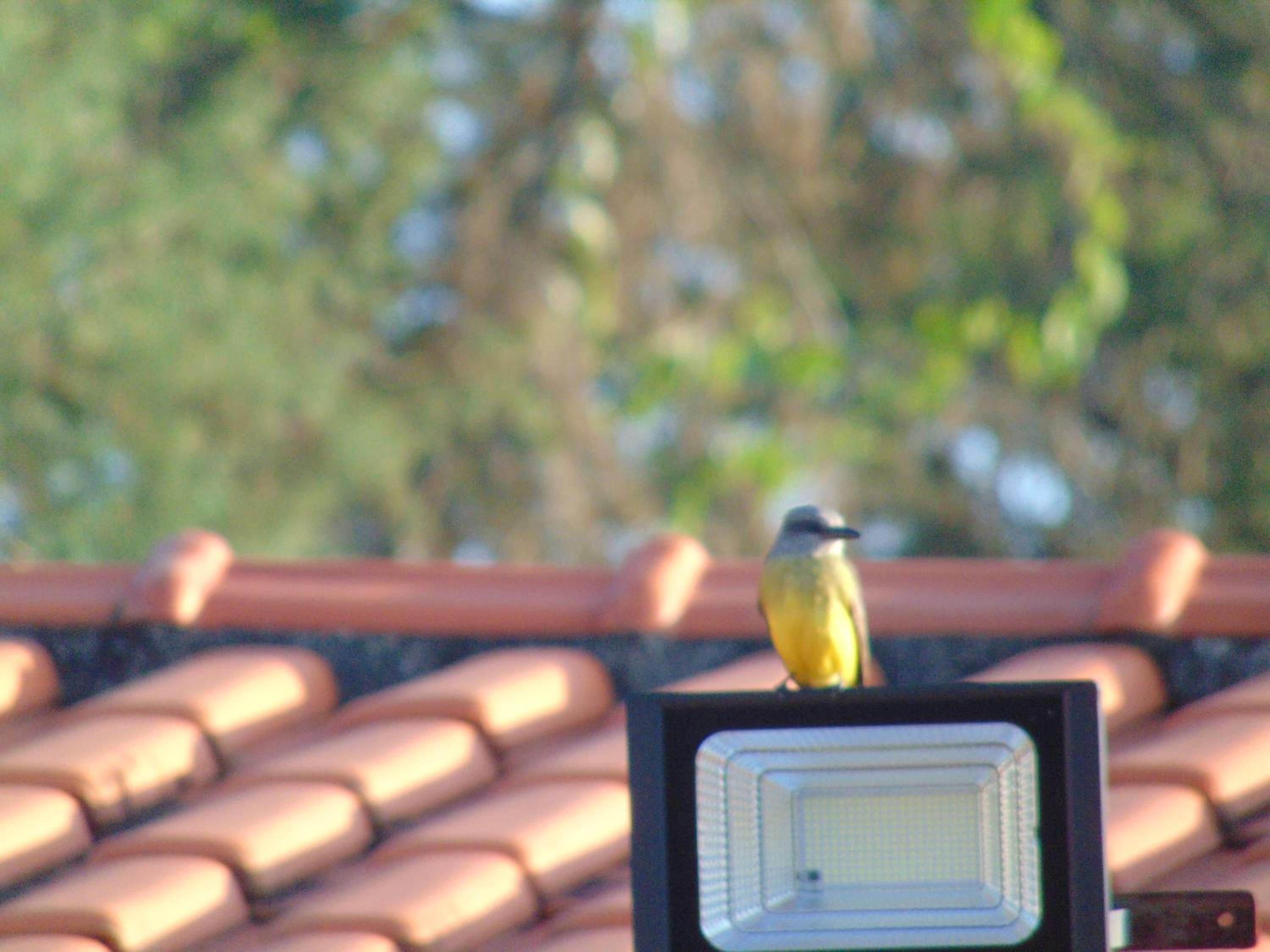 Rancho do Colega