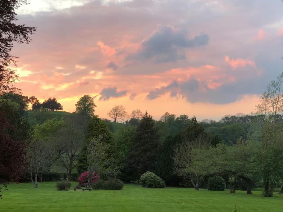 Unique Orchard Lodge for couples with hot tub