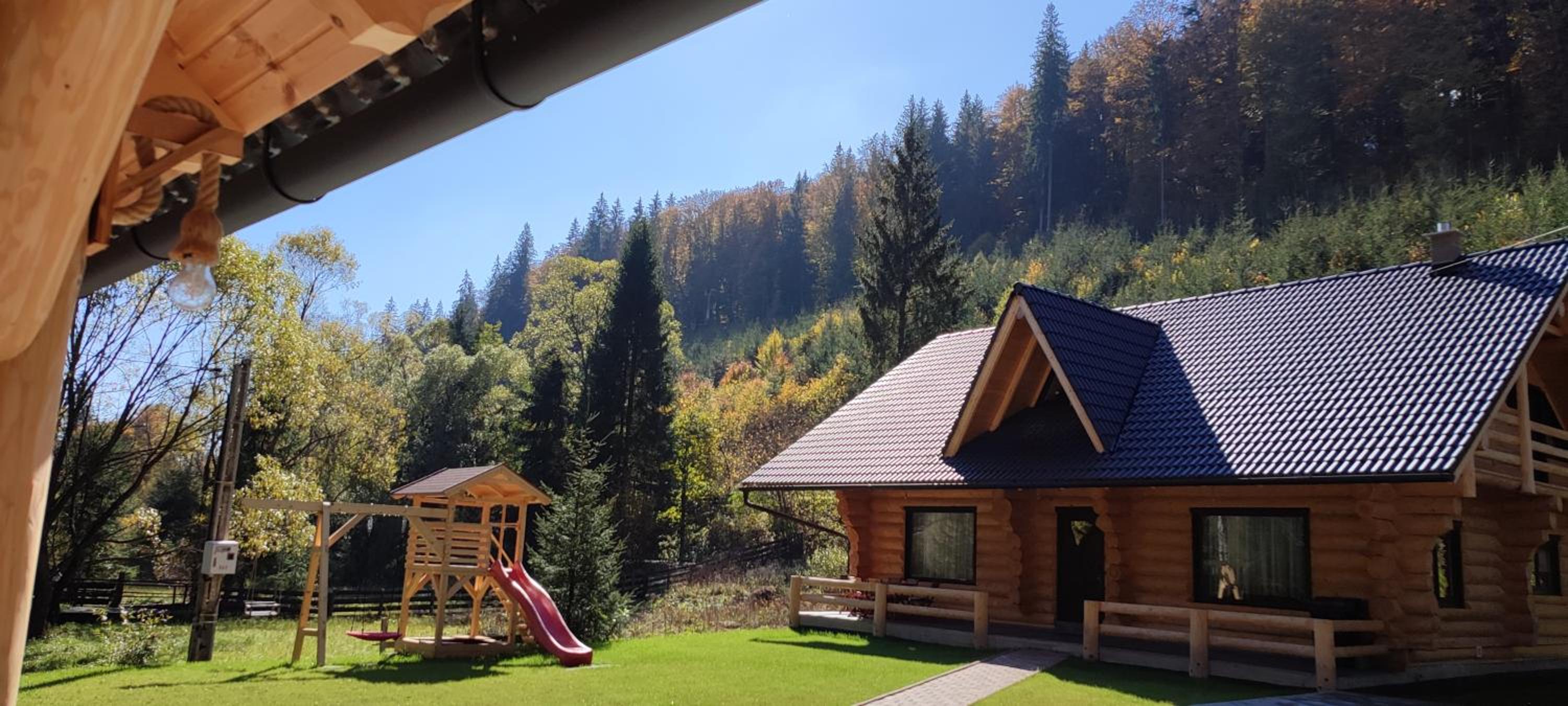 Wild tree house view 4