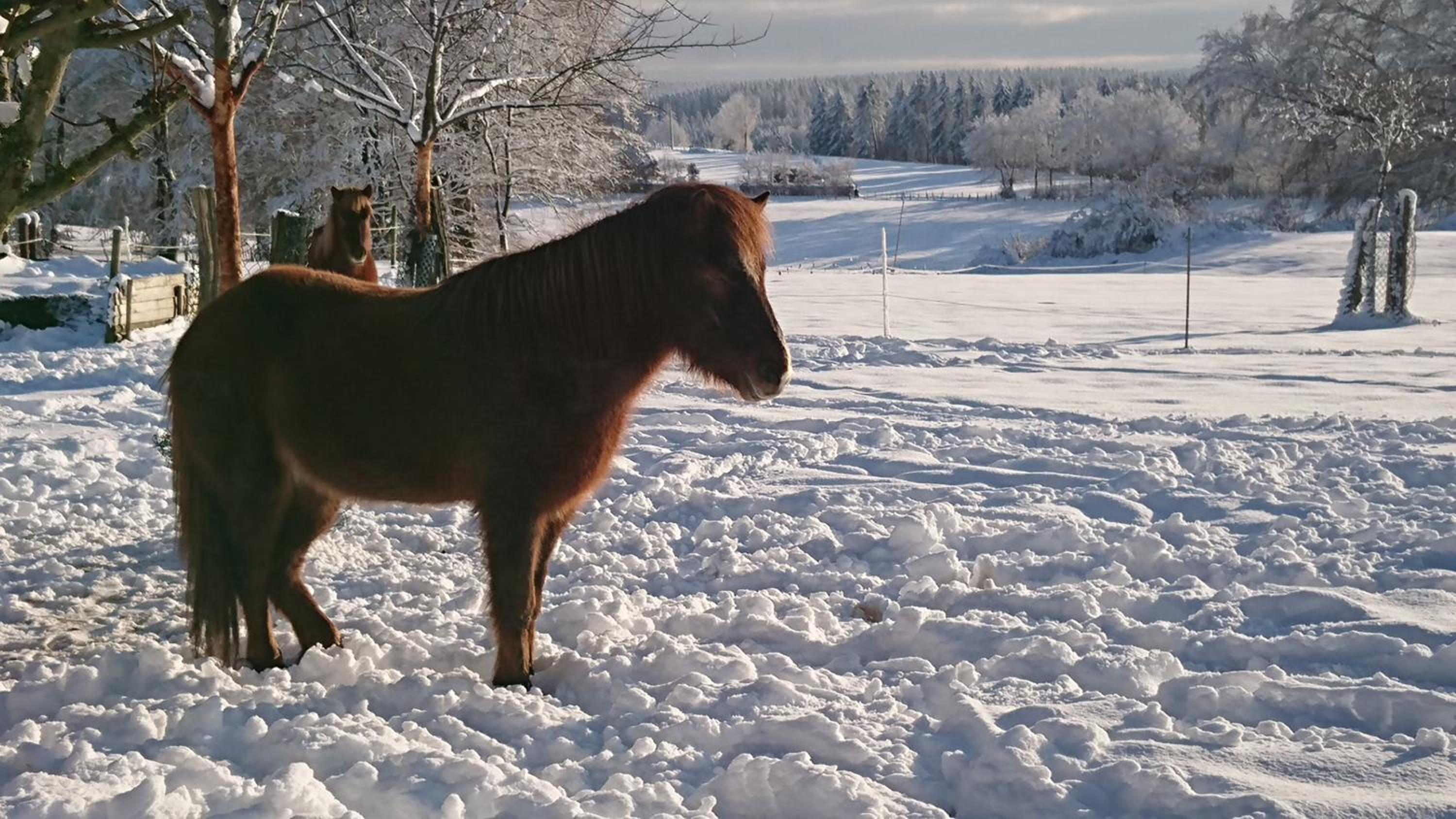Privatzimmer im Schwedenhaus Unsere Kleine Farm
