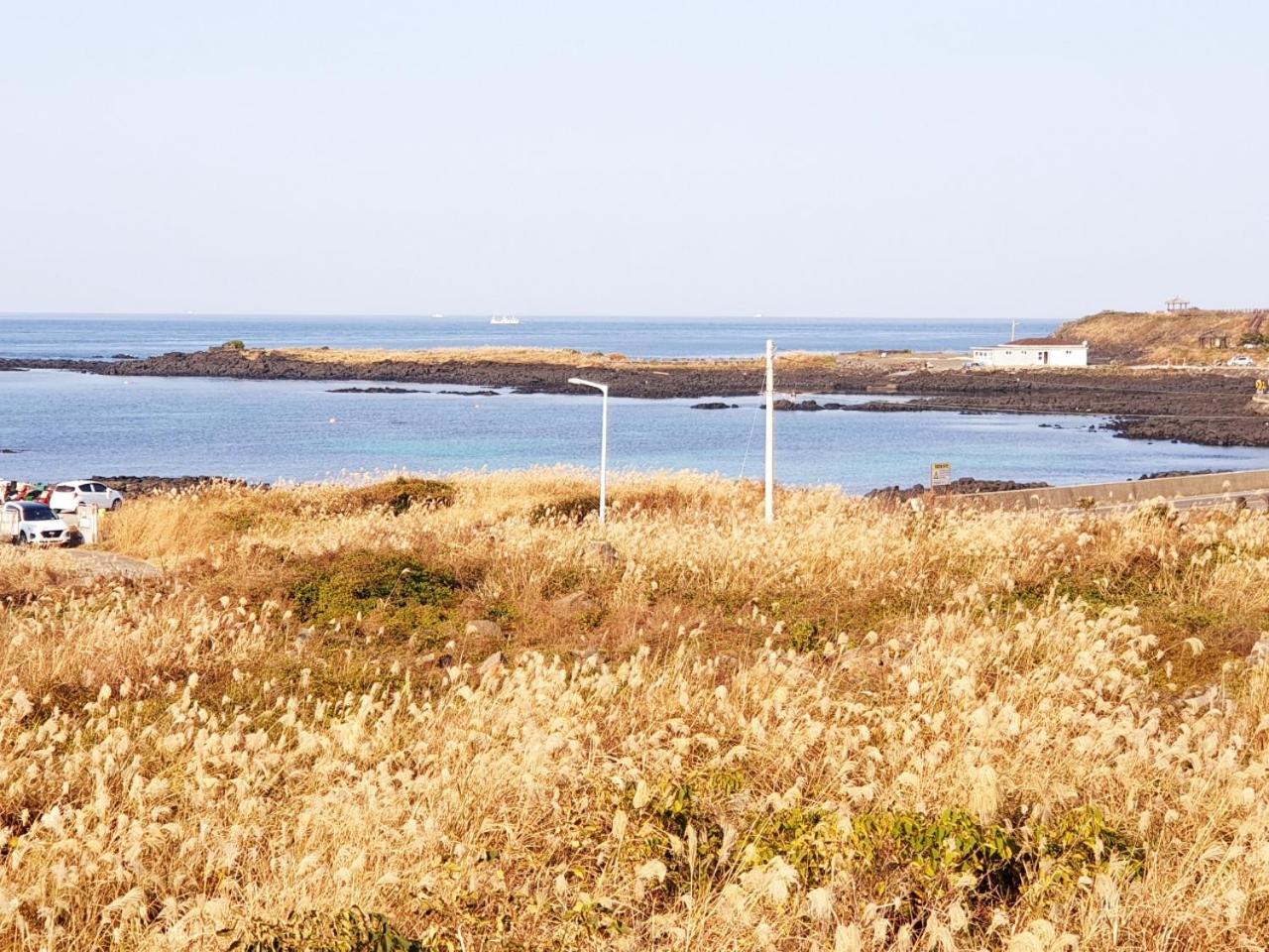 Morning Beach Pension