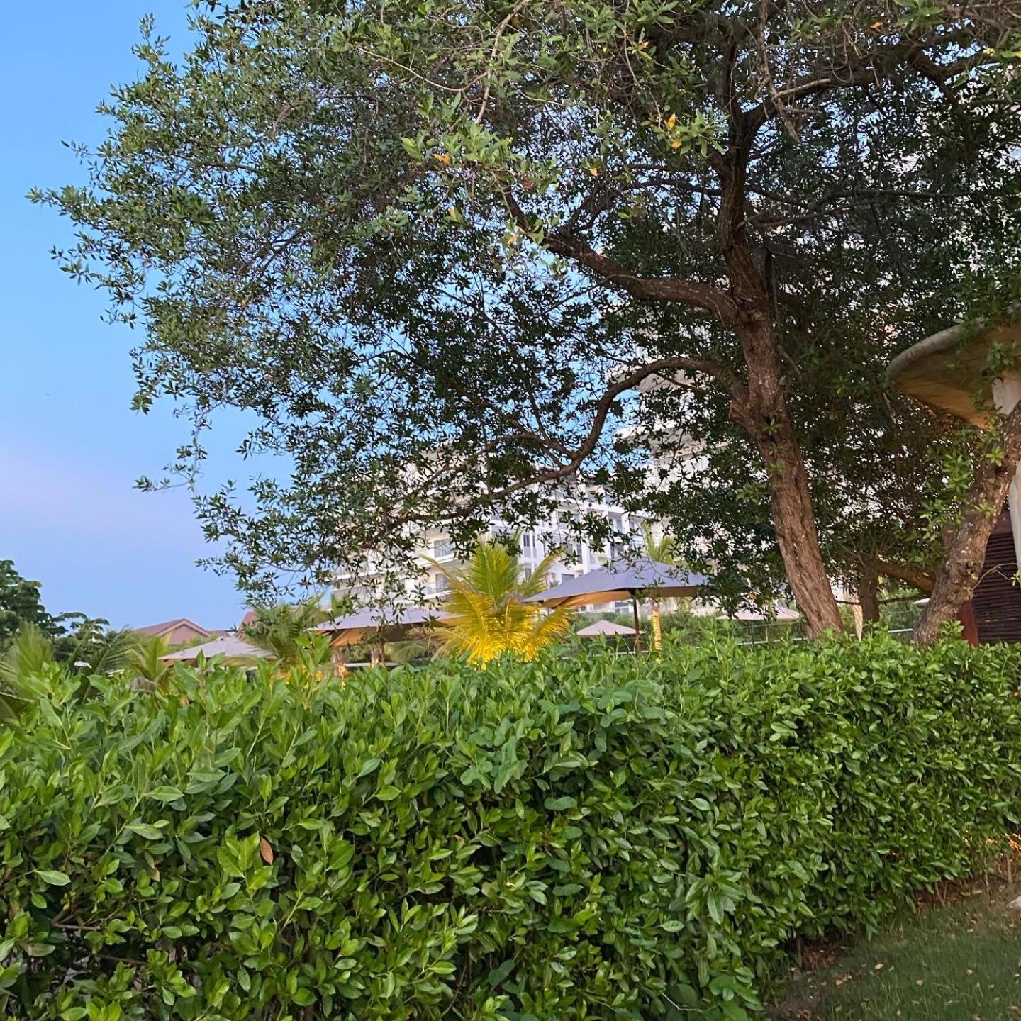 ✰ Beach Loft ✰ Condominio de lujo ✰