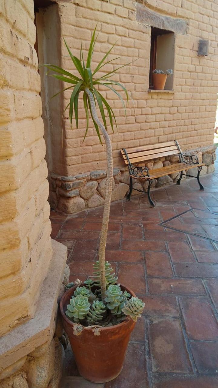 Pasillos del Viñedo