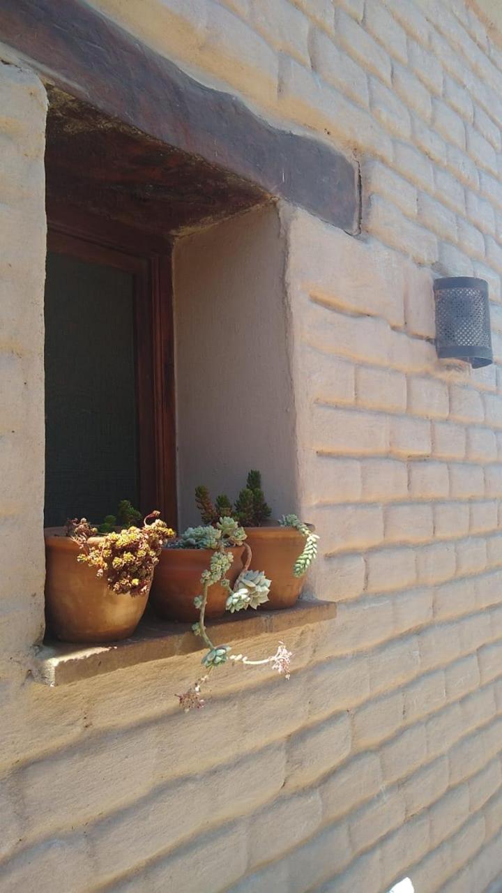 Pasillos del Viñedo