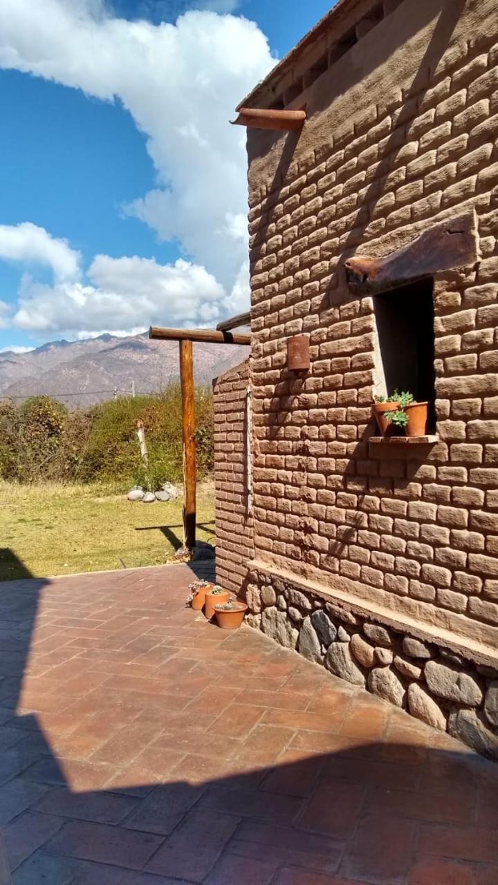Pasillos del Viñedo