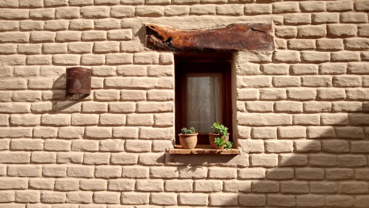 Pasillos del Viñedo