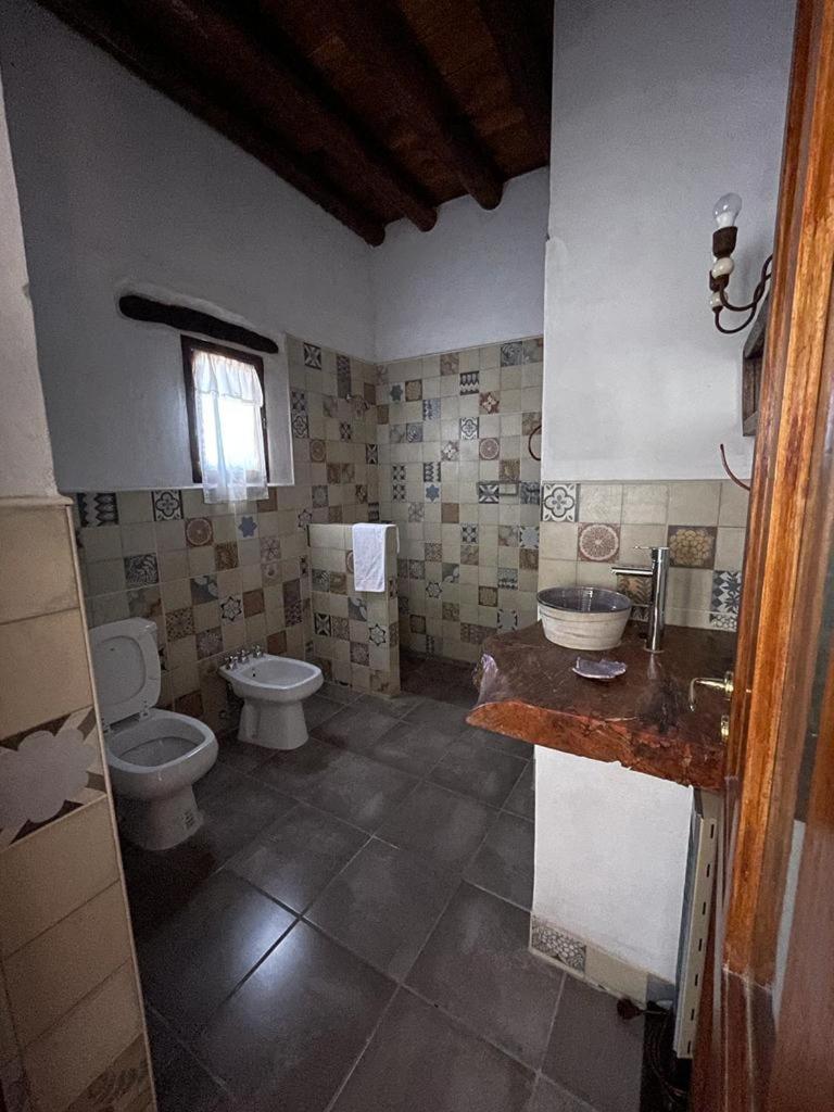 Pasillos del Viñedo