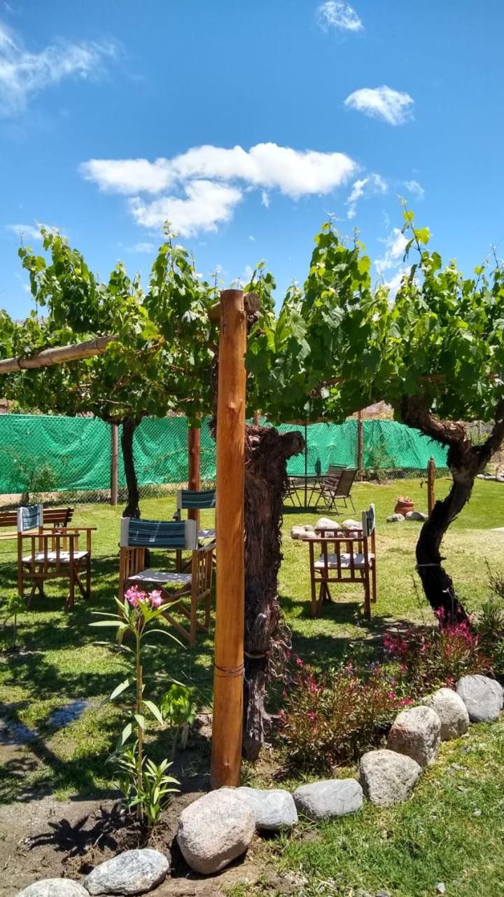 Pasillos del Viñedo