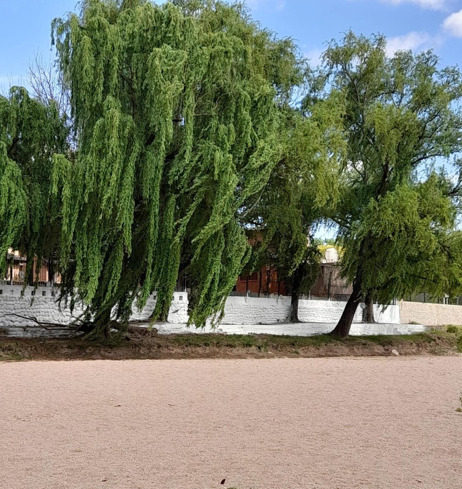 Cabañas Brochero del Valle