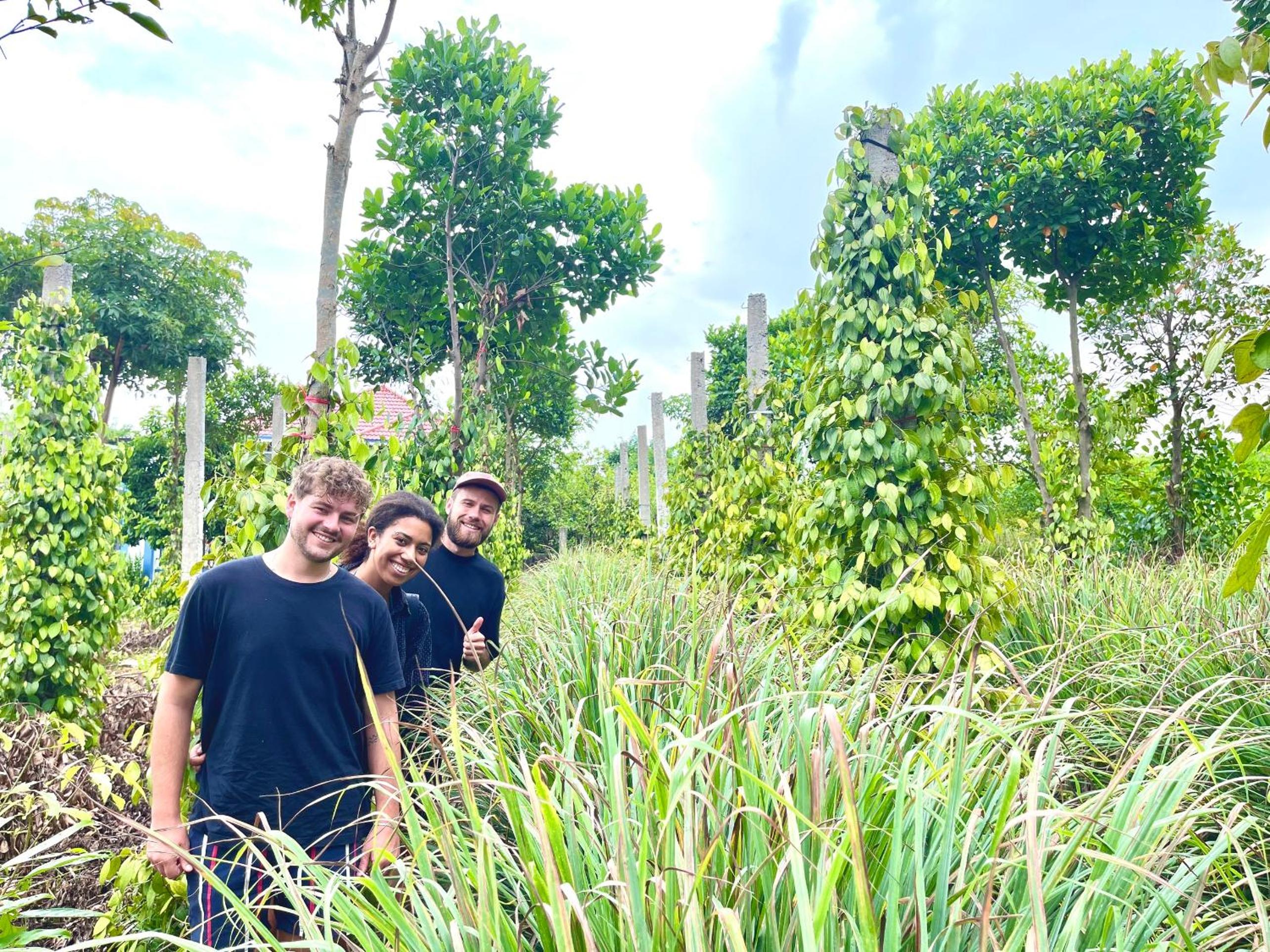 Bamboo's House