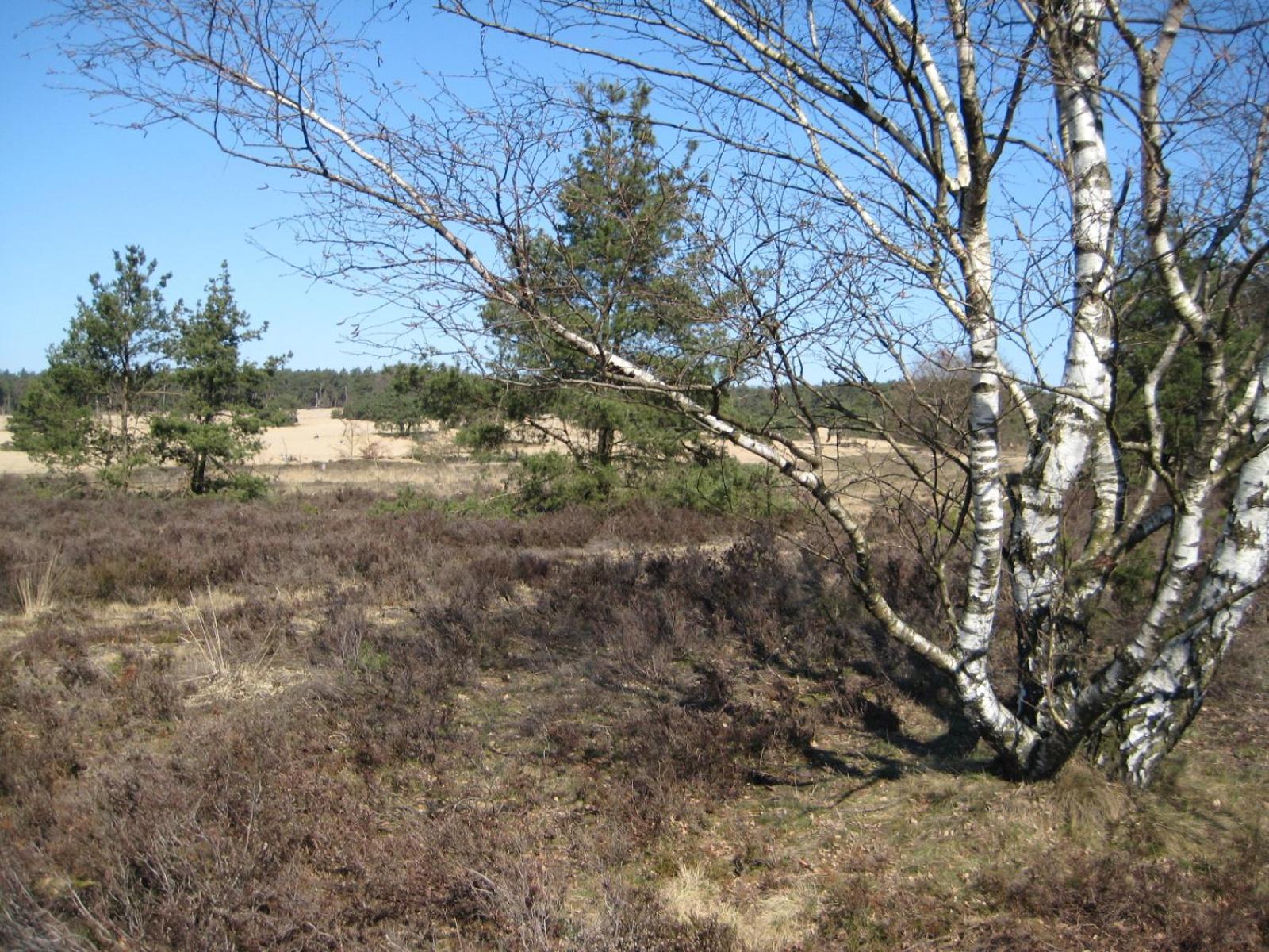 Landgoedhoeve Vosbergen