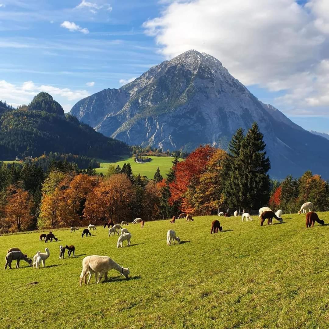 Alpenchalet im Steirischen Salzkammergut