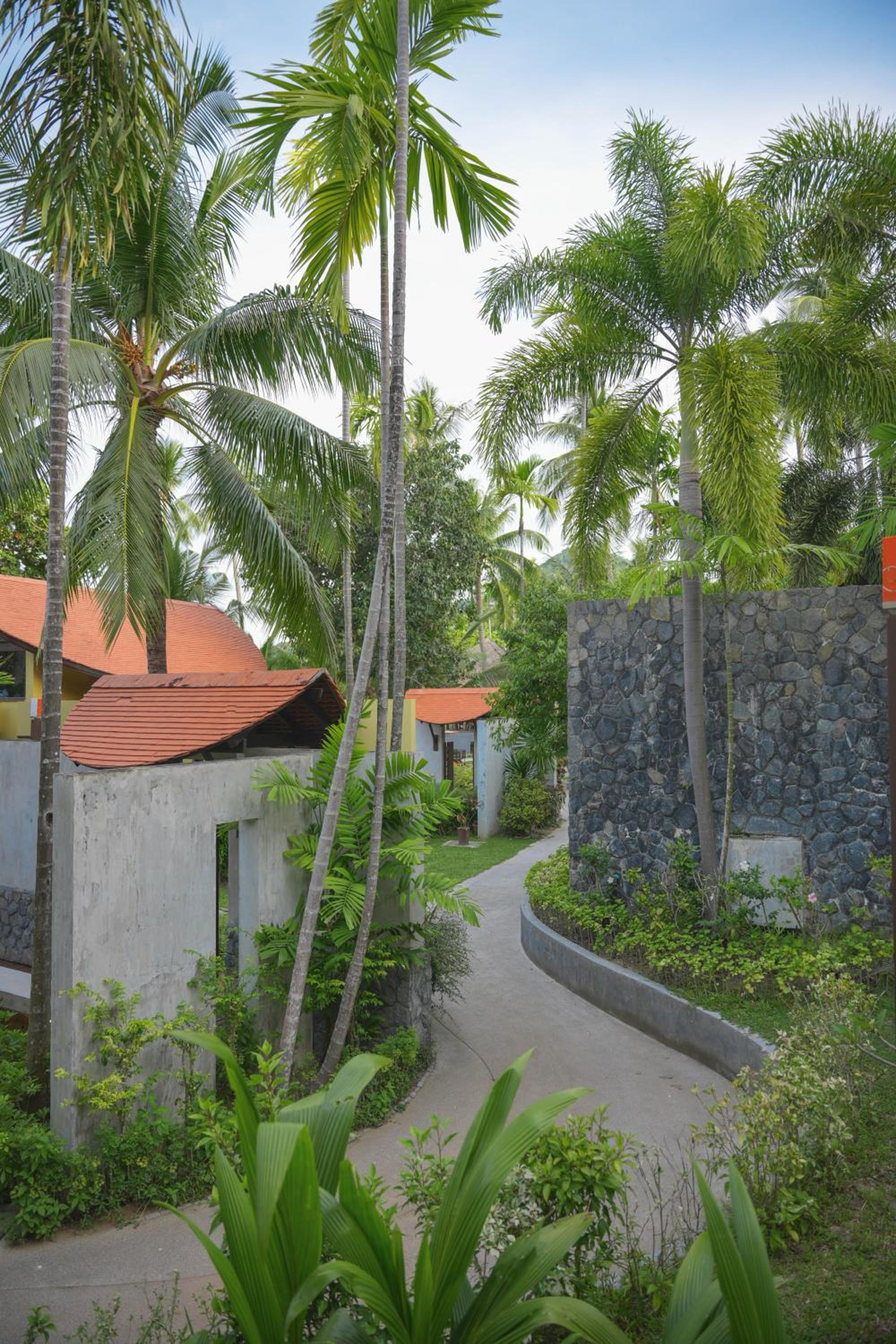 Photo 50