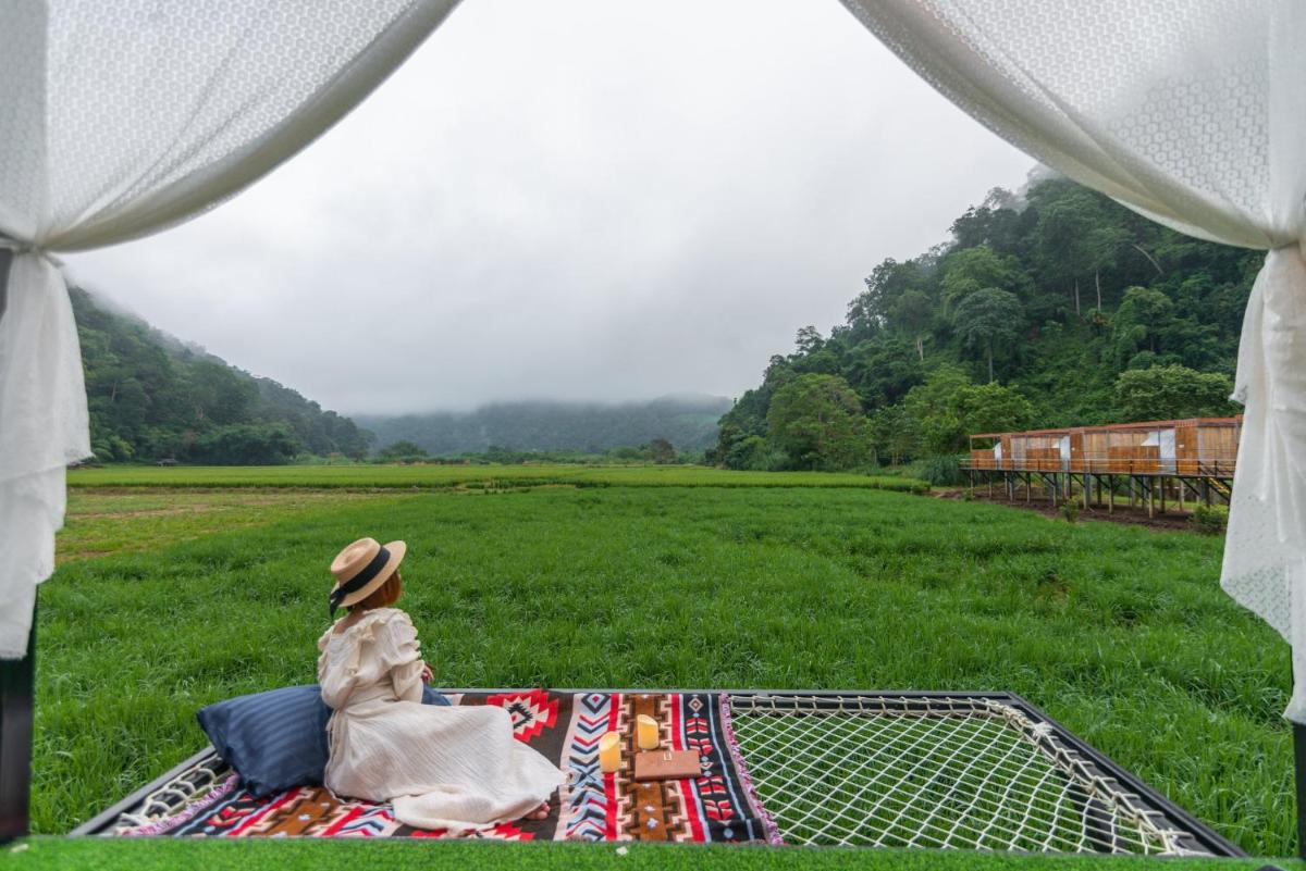 Nature Valley Camp Pang Mapha view 4