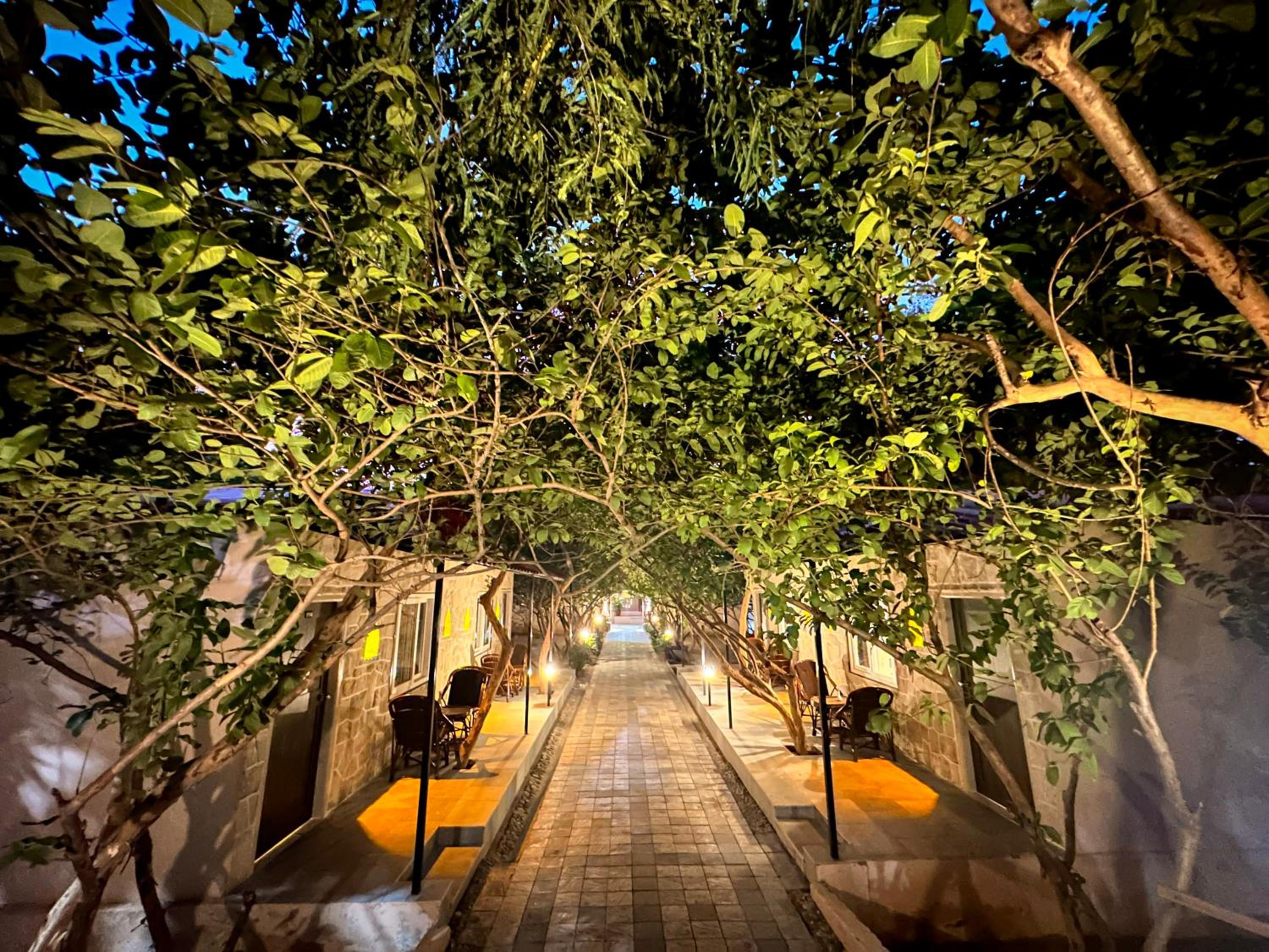 Ranthambhore National Resort