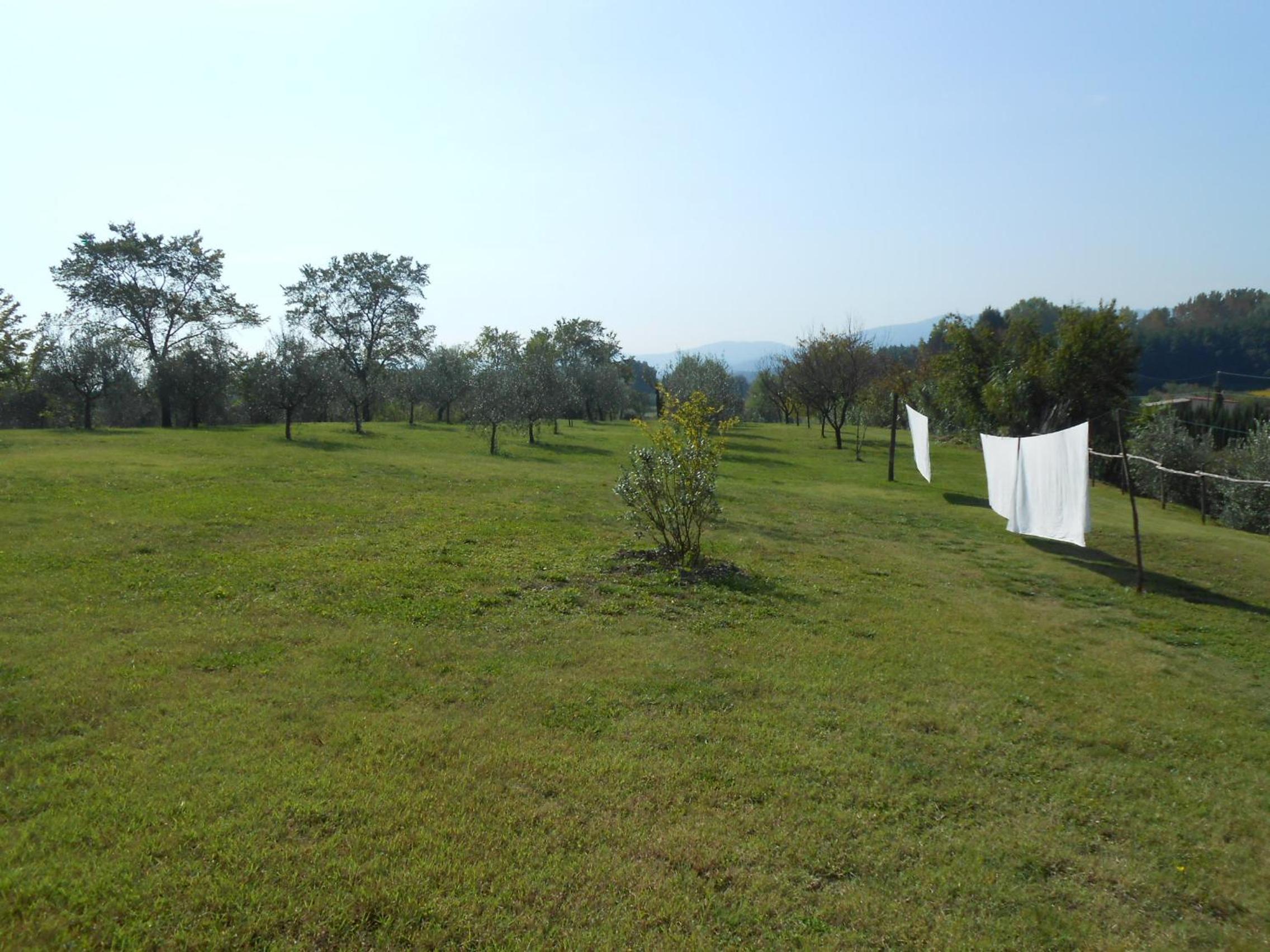 Amedea Tuscany Country Experience
