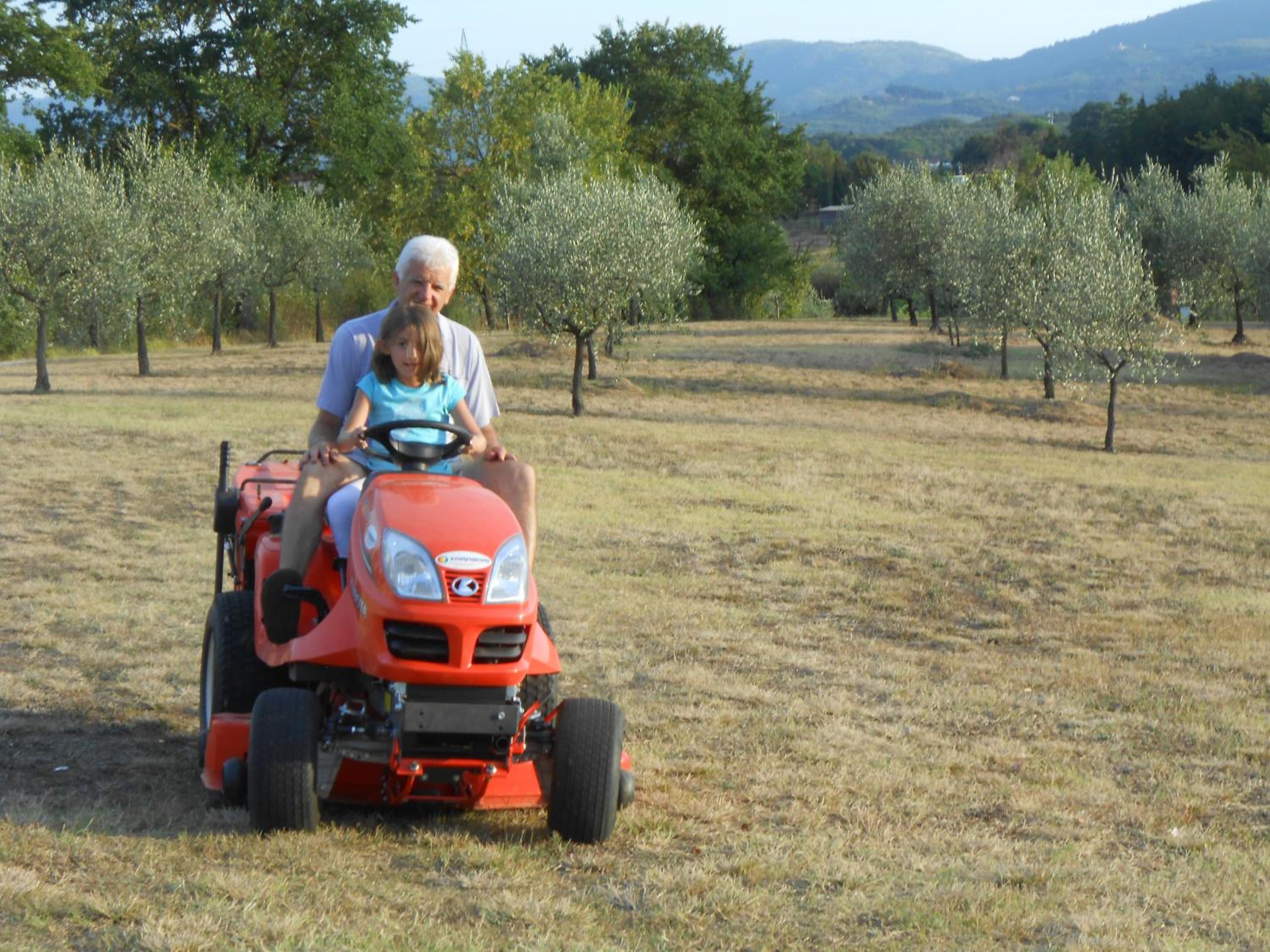 Amedea Tuscany Country Experience