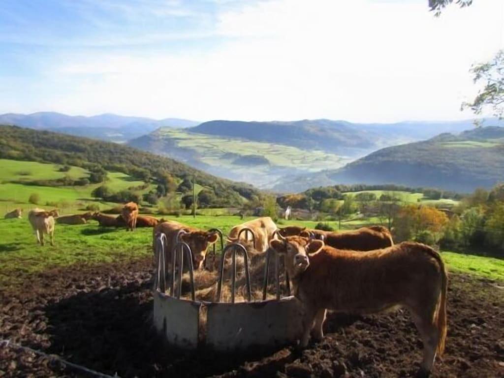 Casa Rural Arteondo