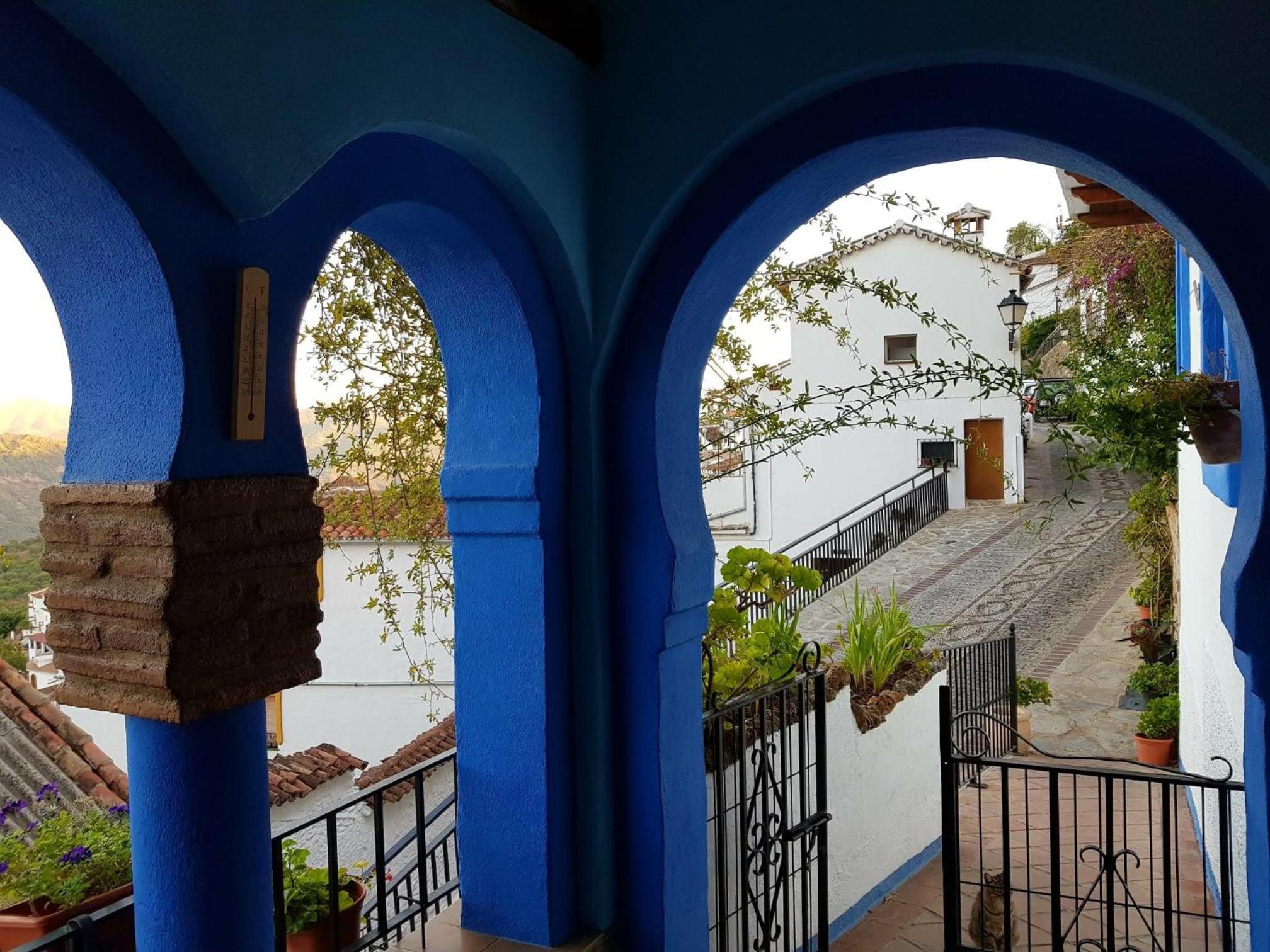 Casa El Olivo by CasaTuristica view 5