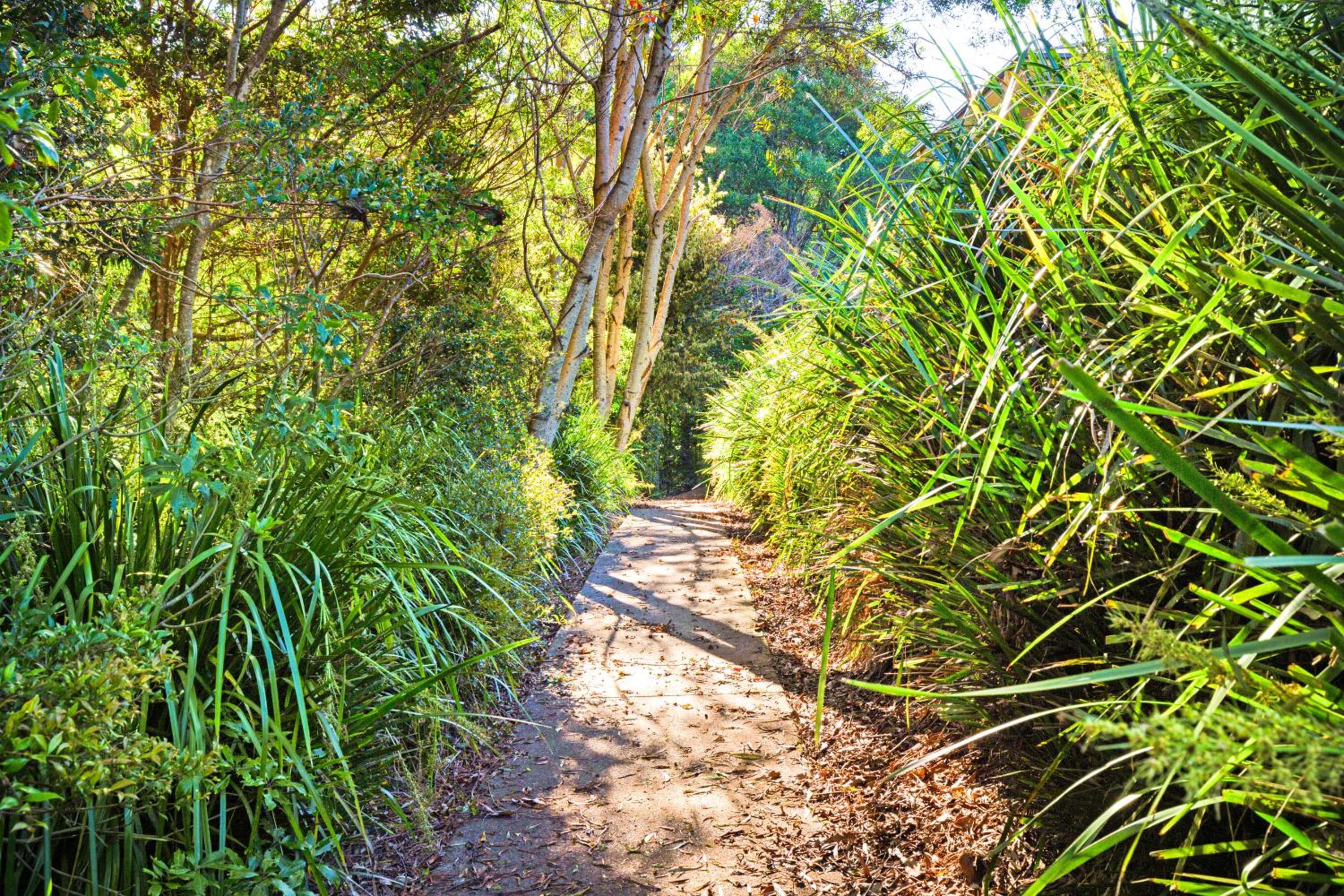 Forest Haven 2 BR Styled Modern Sanctuary at Maleny
