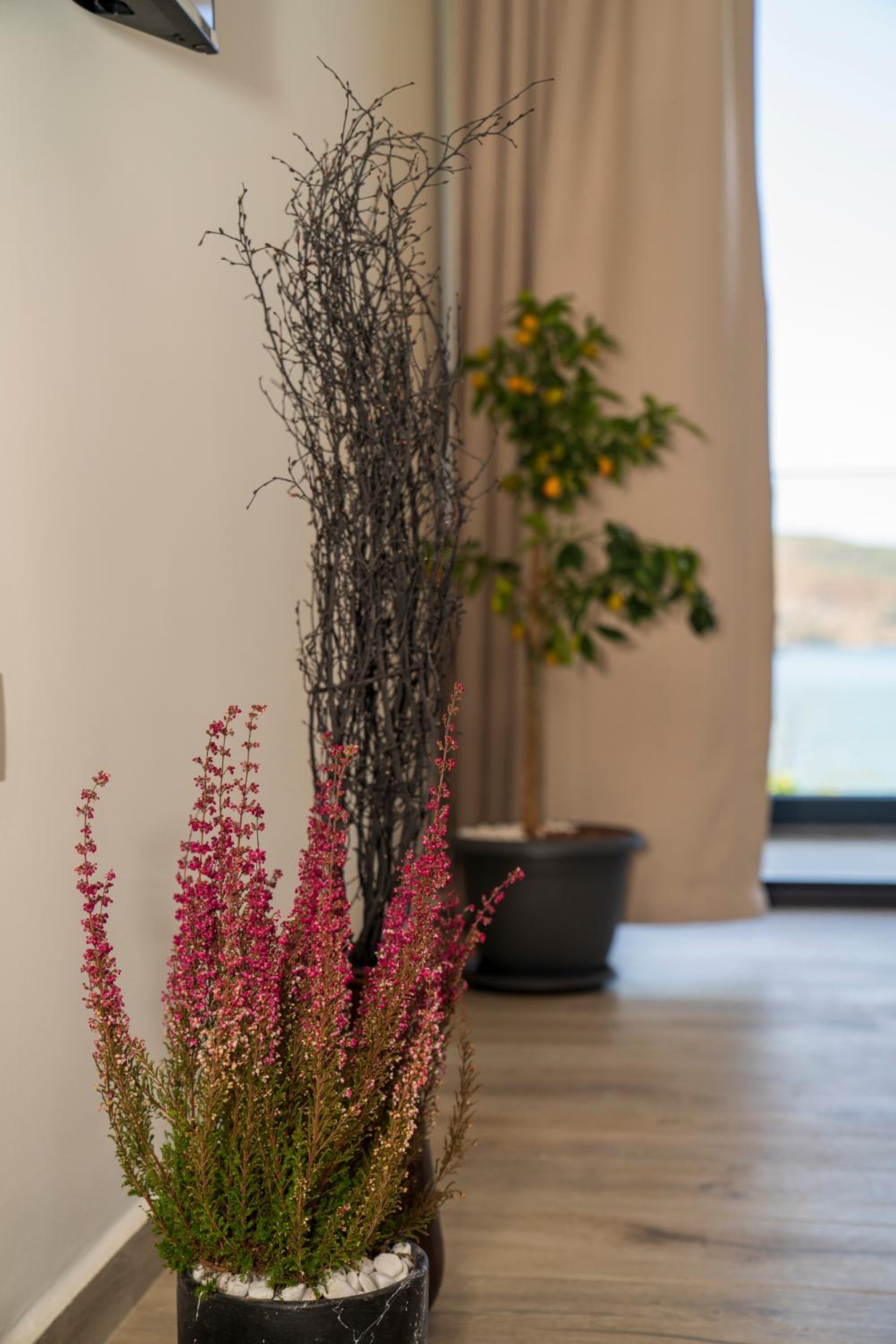 Ancyra Süitleri - Image 37