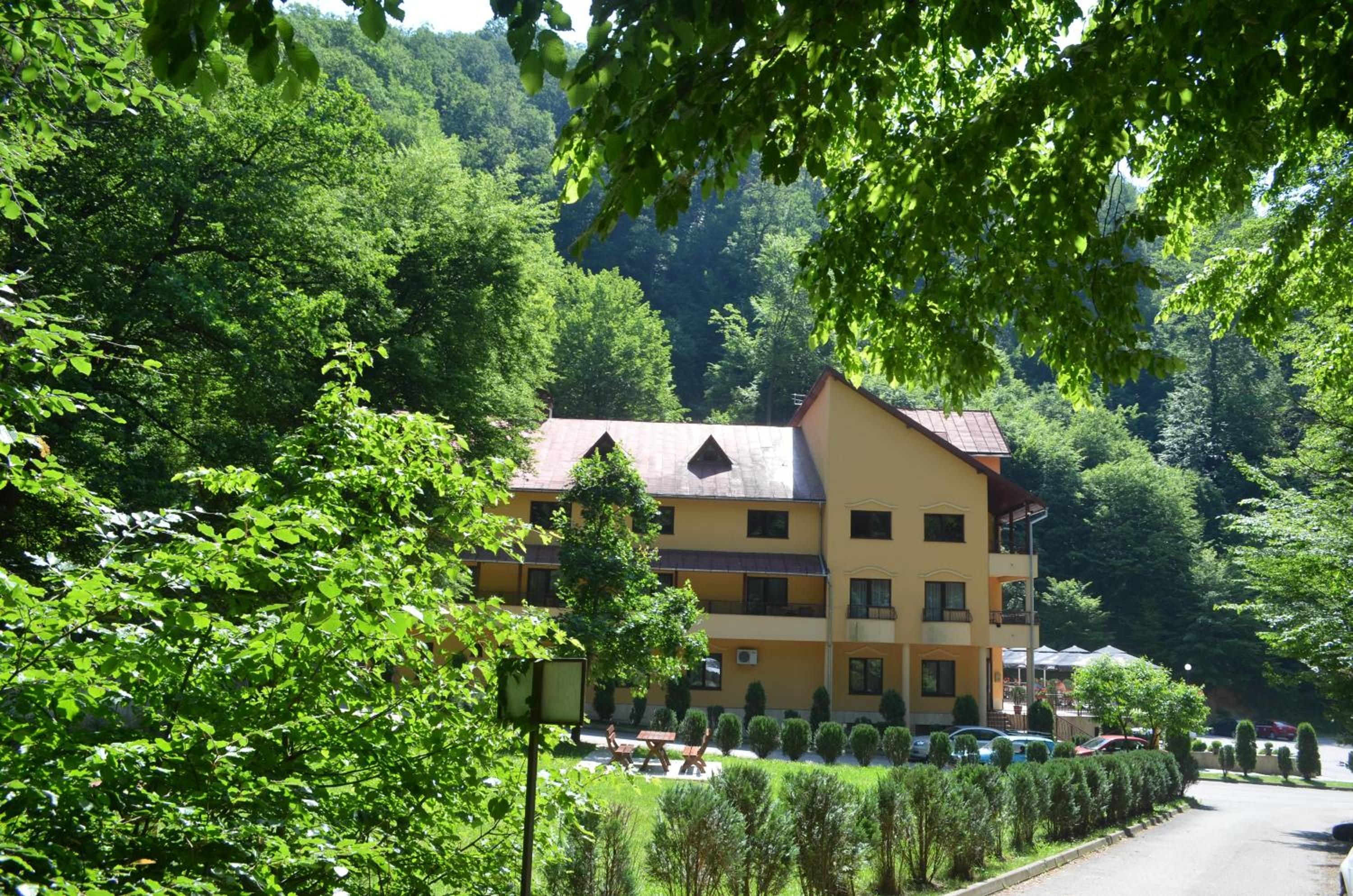 Photo 41