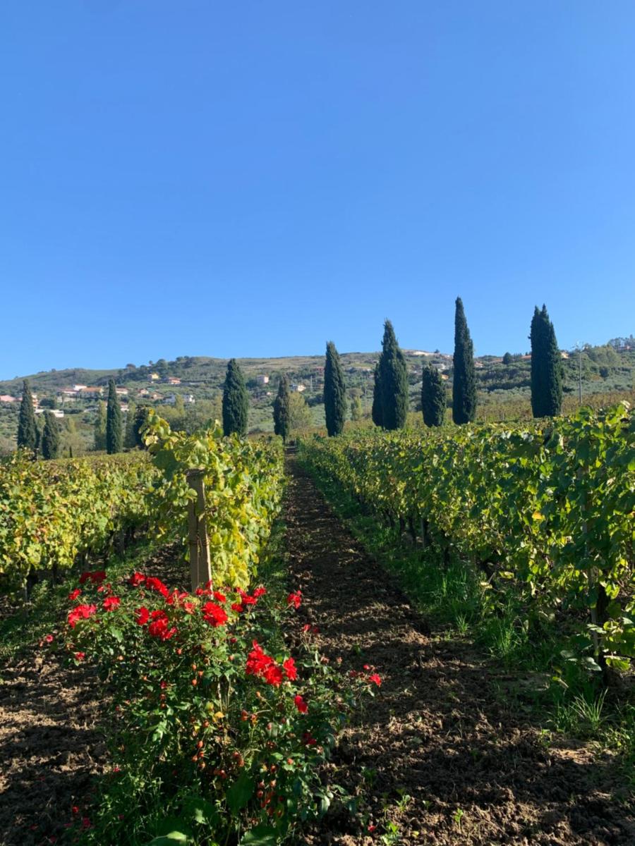 Villa Claudia - casa vacanze view 3