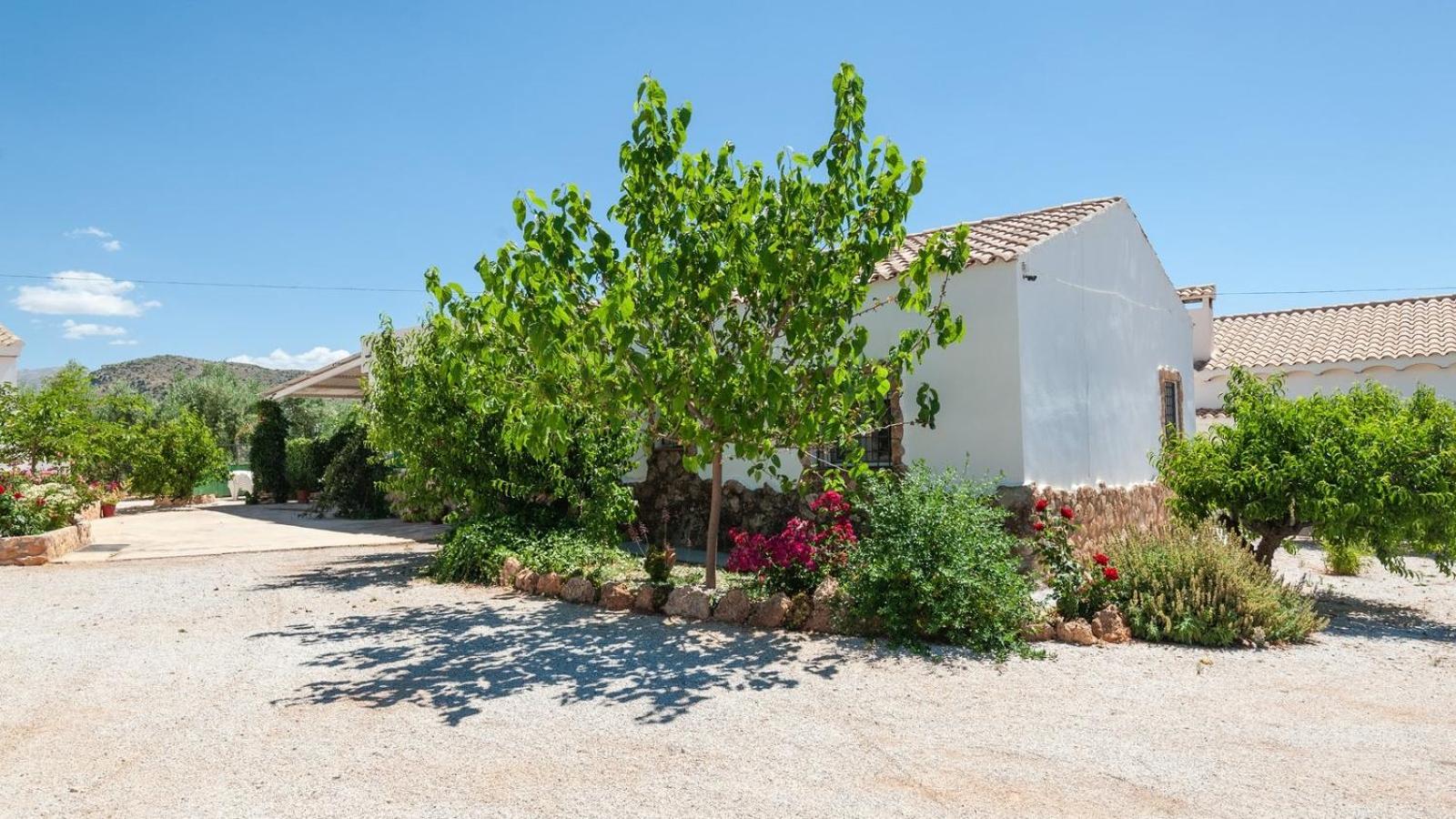 Molino de Peralta Pozo Alcón by Ruralidays