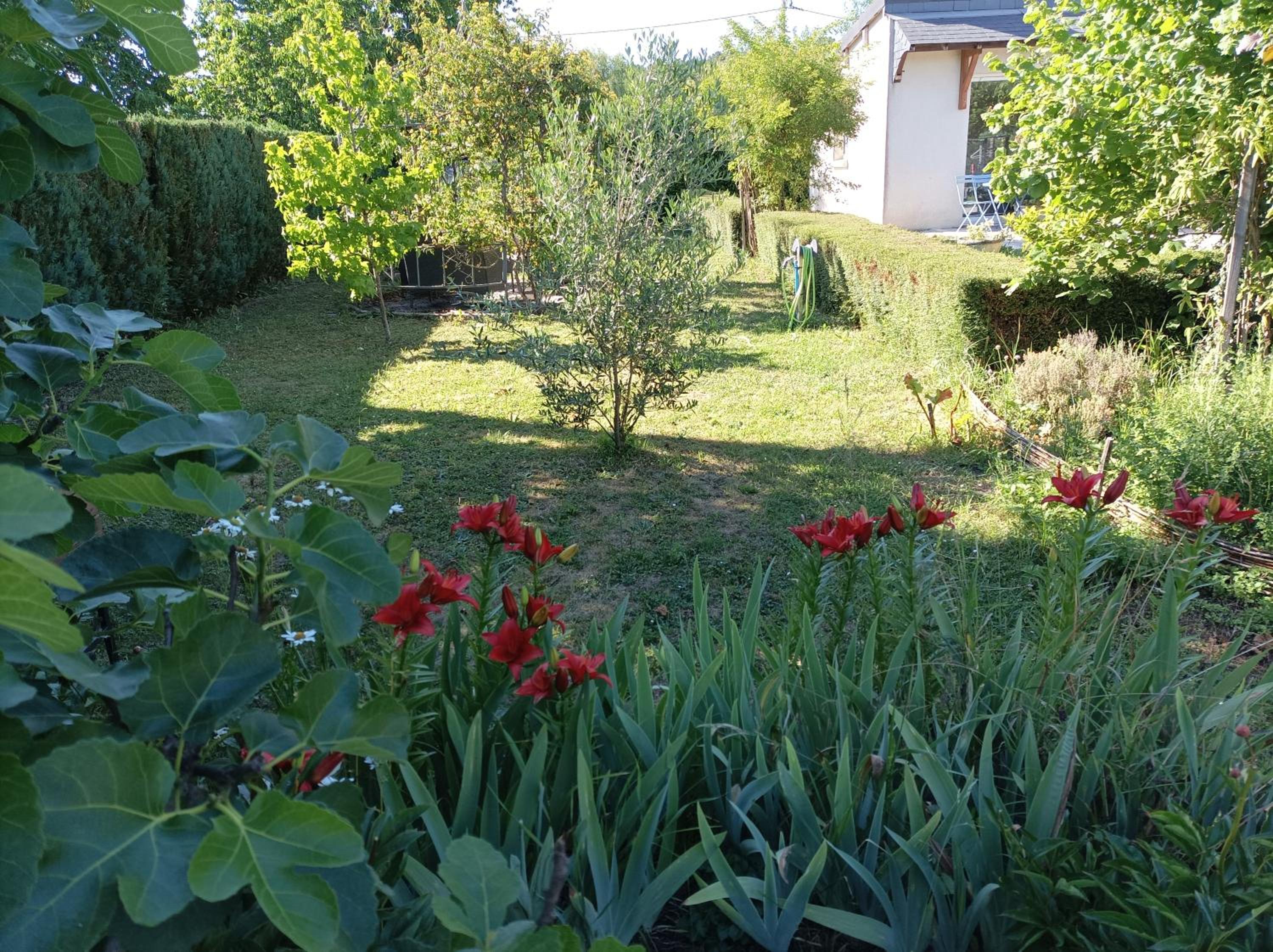 Photo 41