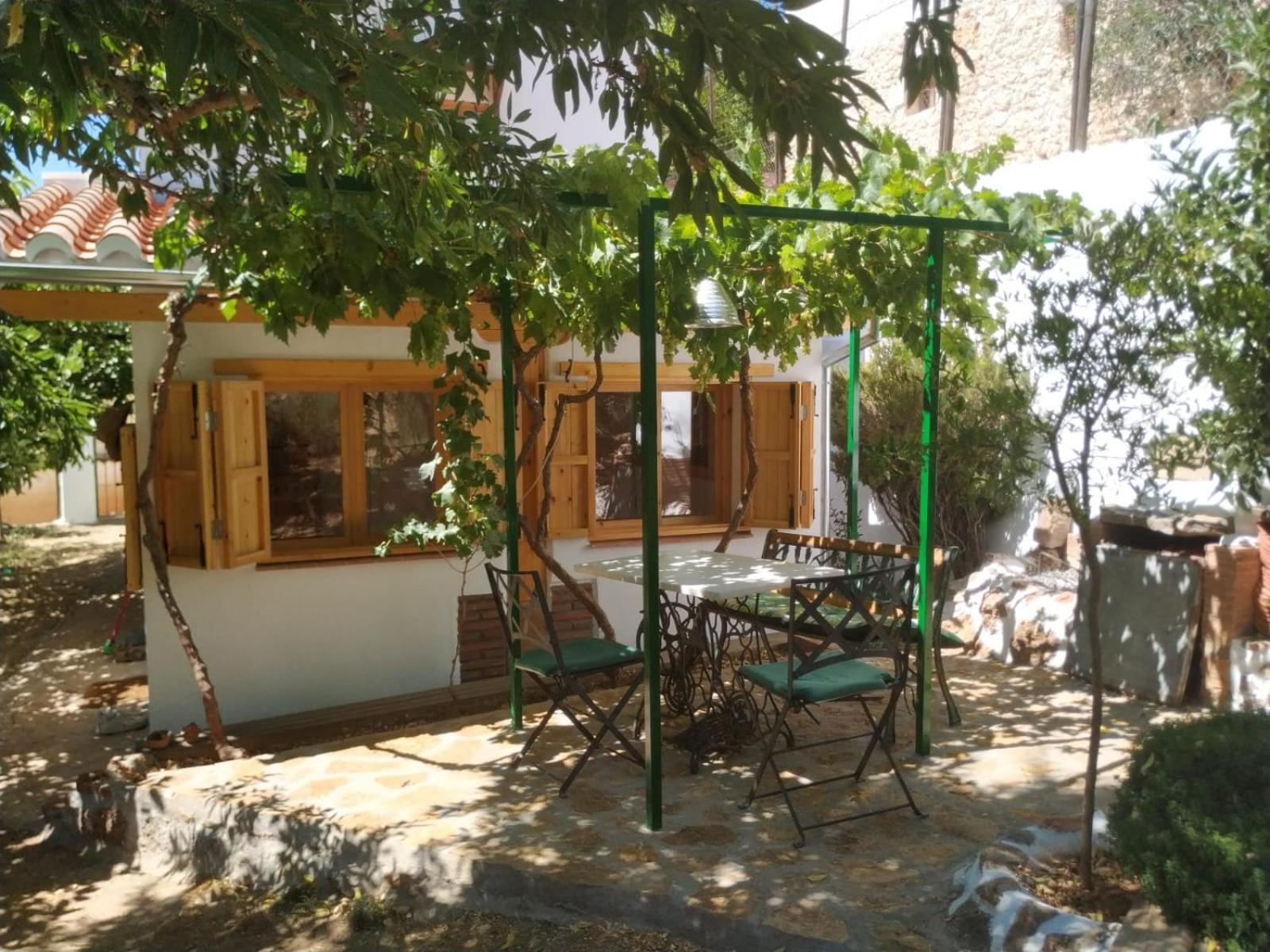 Photo 21