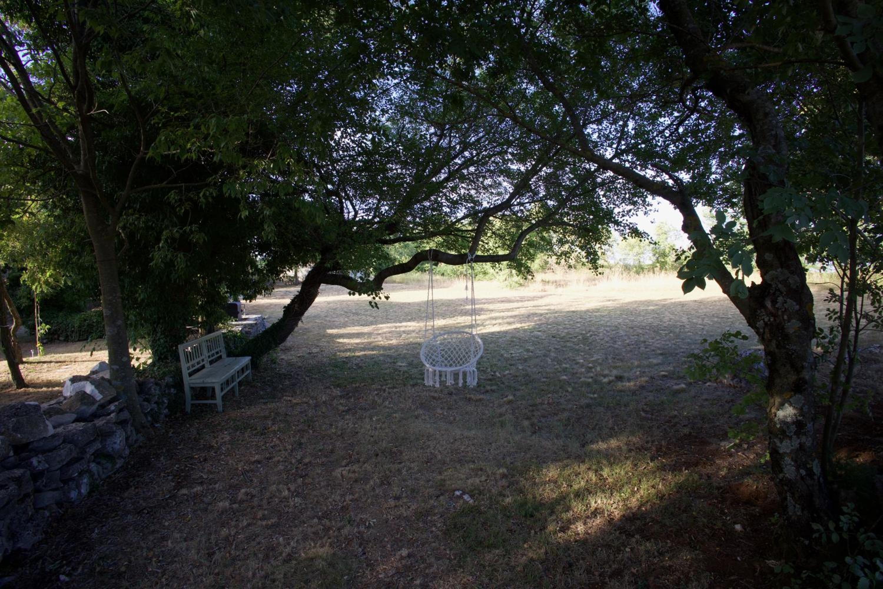 Photo 42
