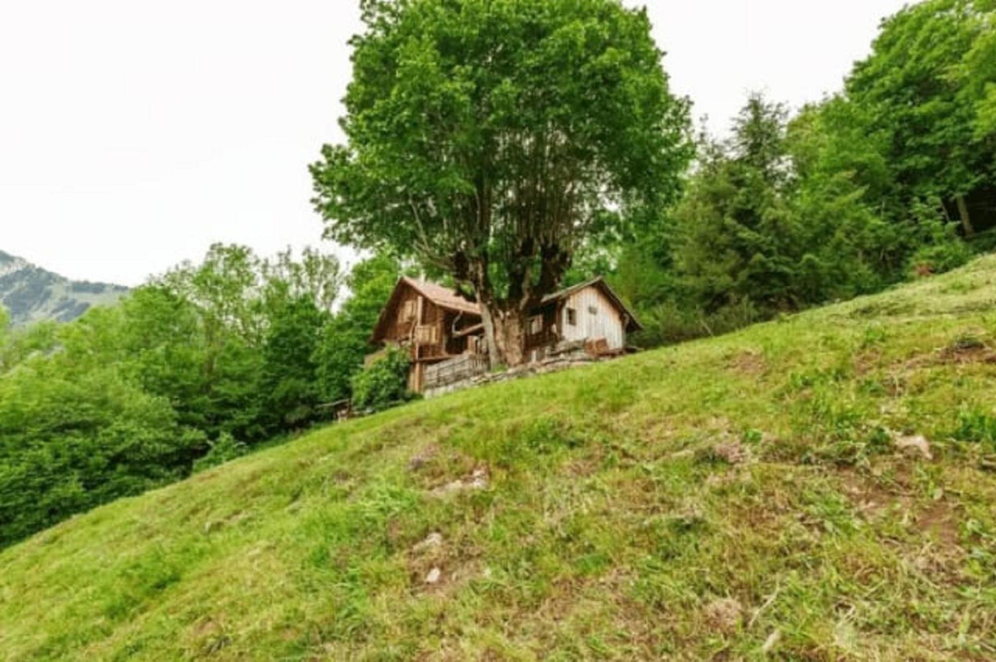 Heidi Chalet