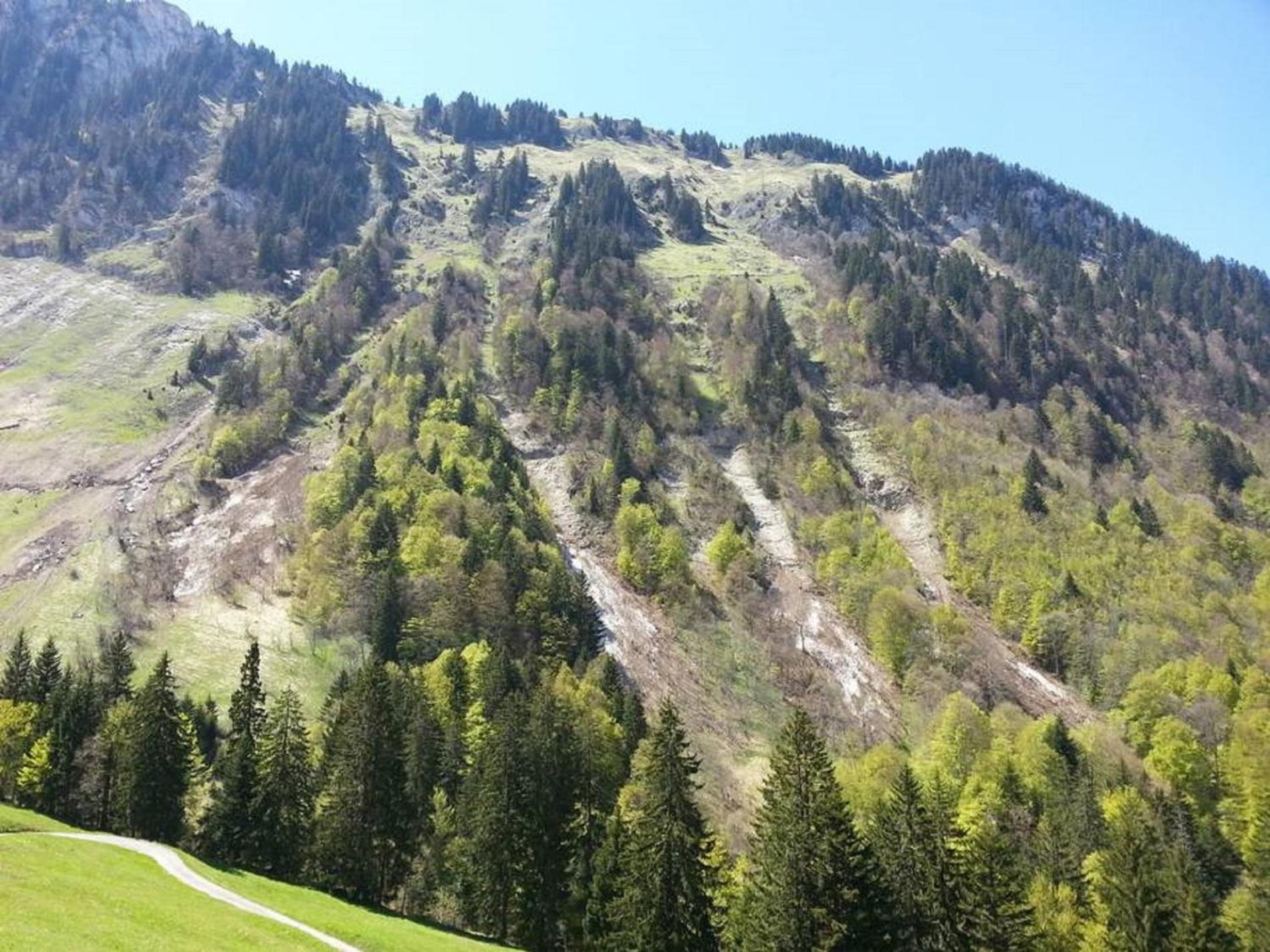 Heidi Chalet