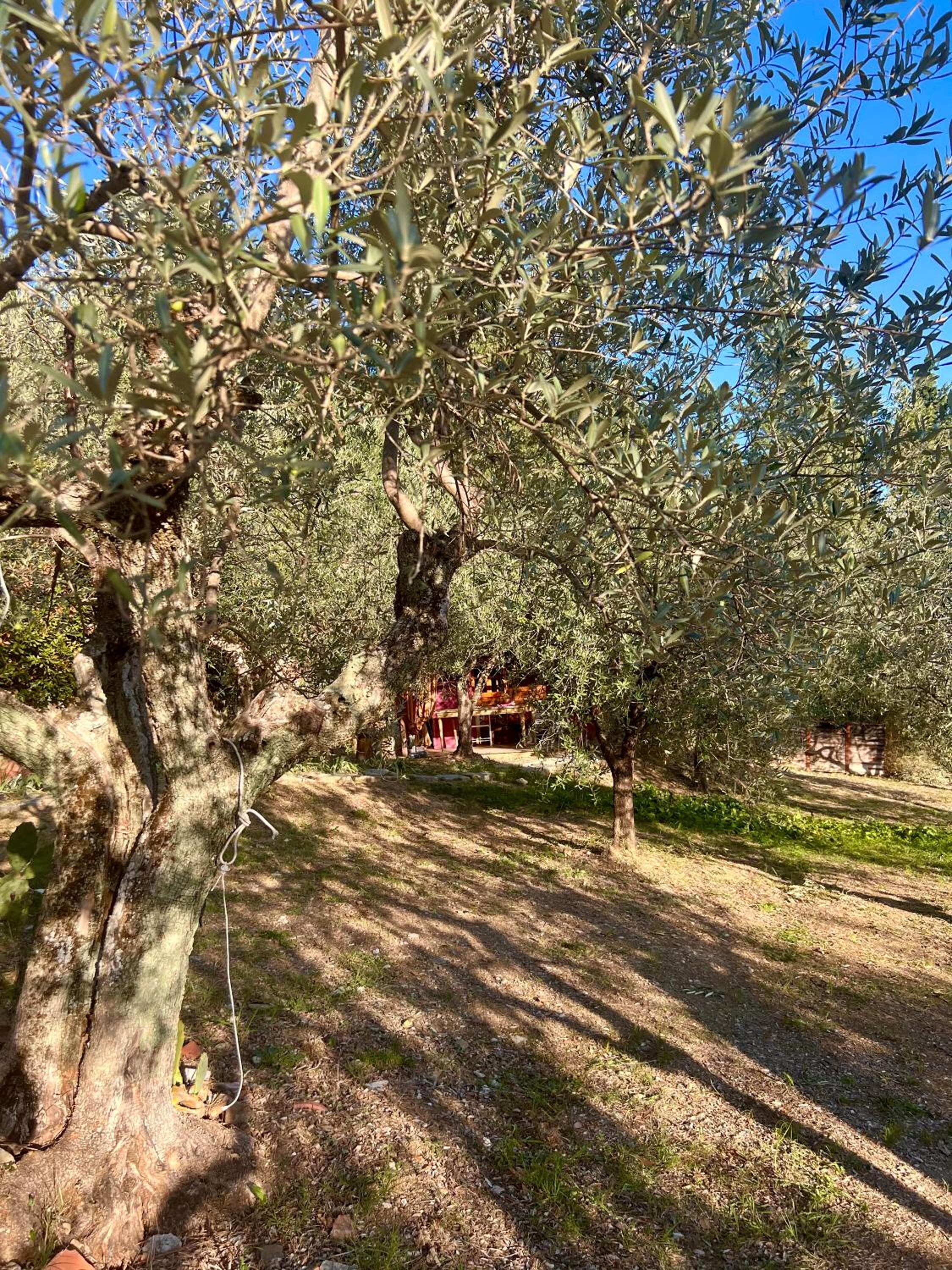 Borgo Medievale di Poggio Alla Pieve Relais, Food & Art, photo 114