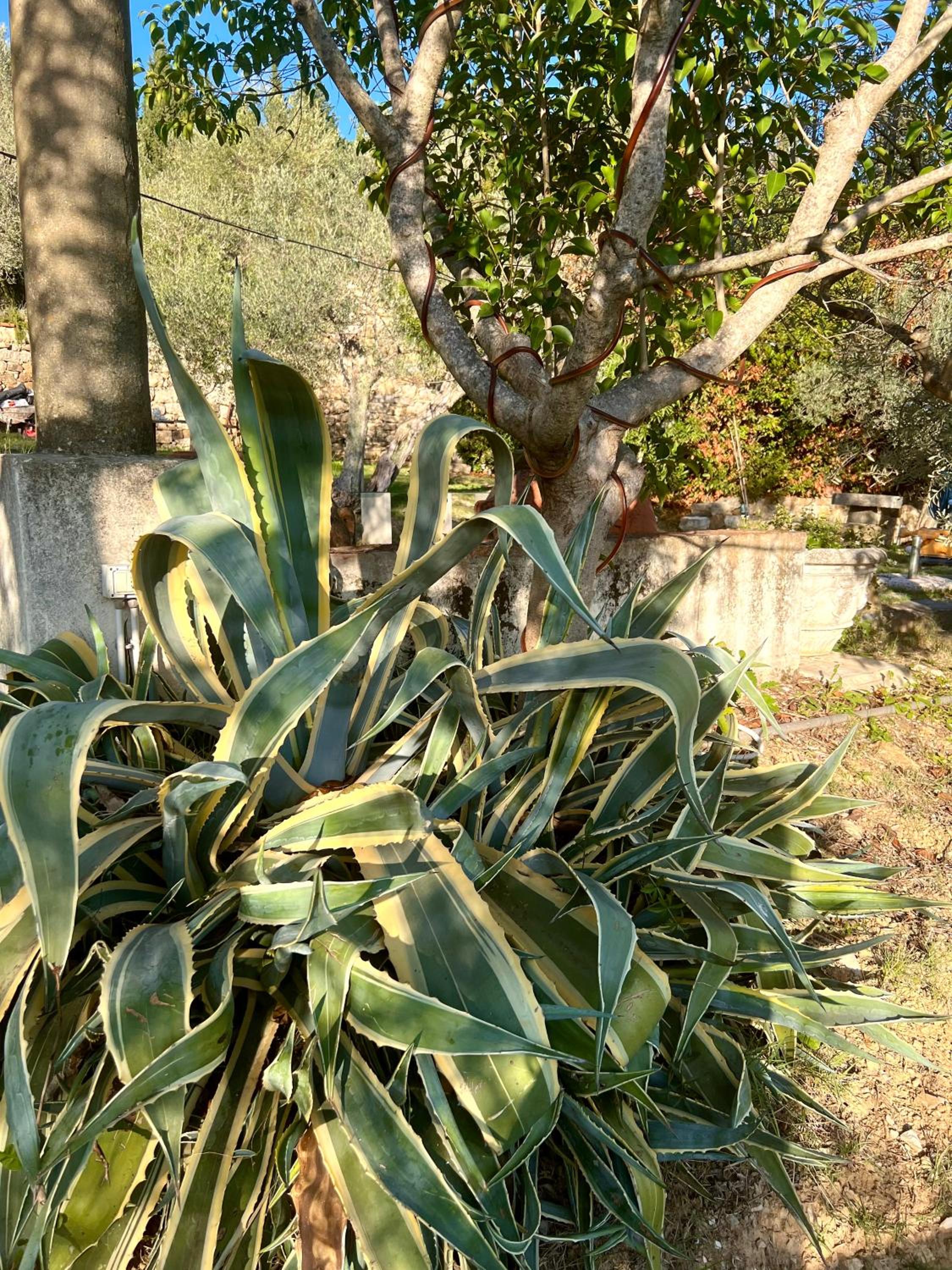 Borgo Medievale di Poggio Alla Pieve Relais, Food & Art
