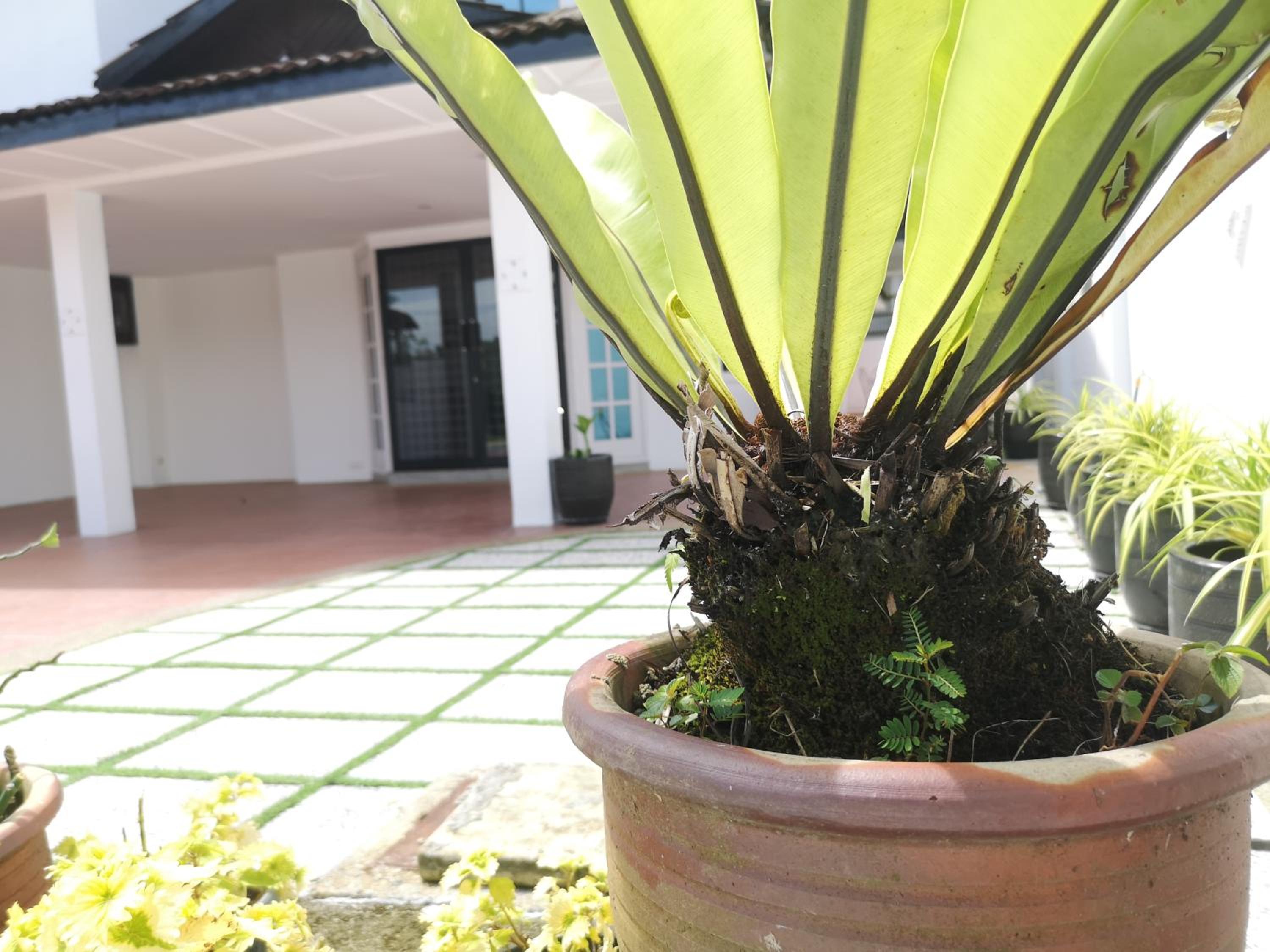 Jb City 5 Bedroom semi-d Near ksl,mid valley ,berjaya waterfront