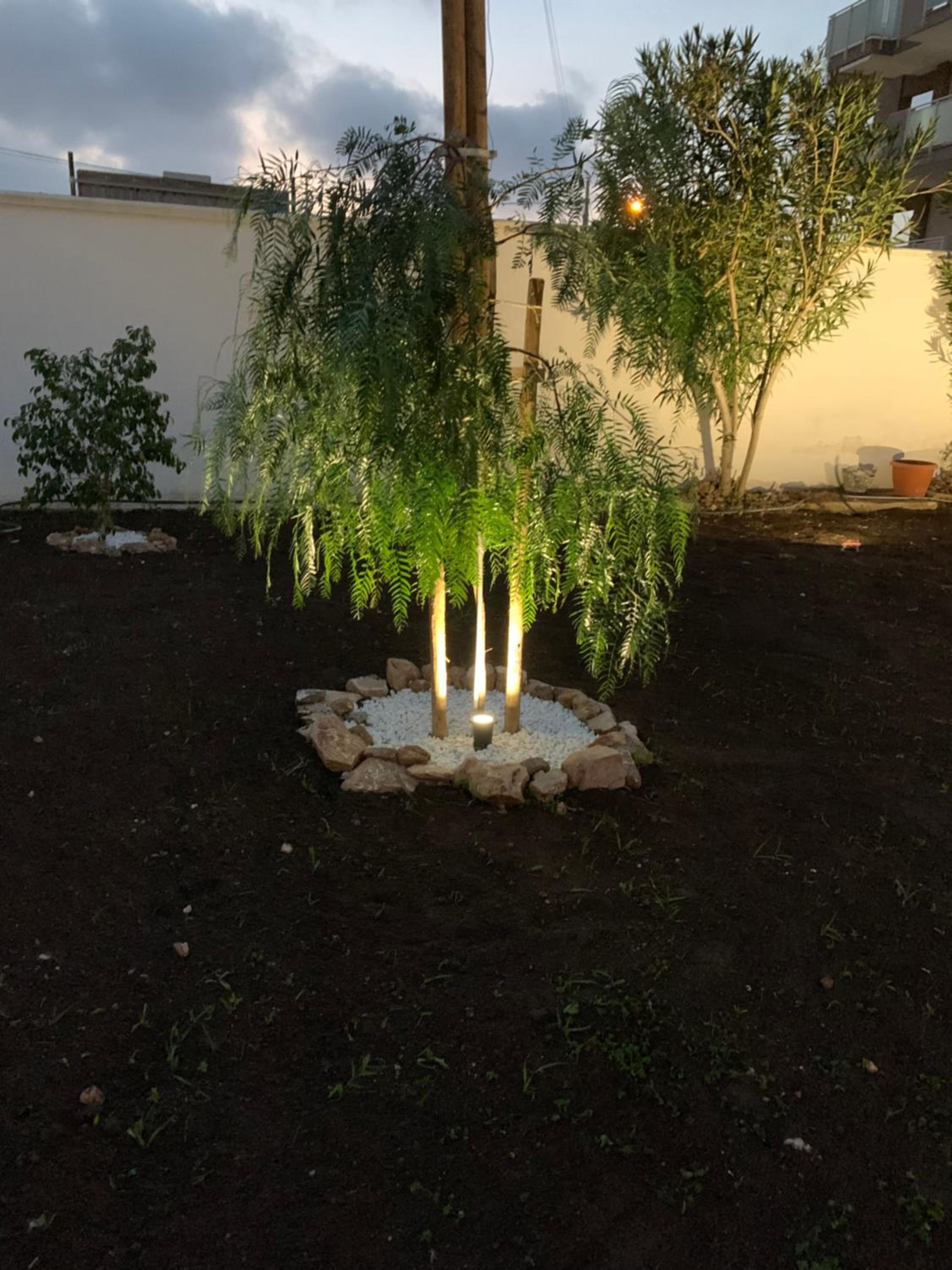 Photo 41
