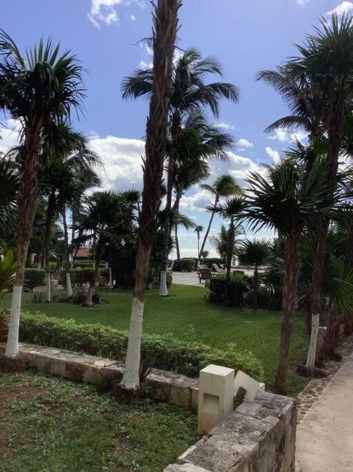 OceanView & Beach Access 3805
