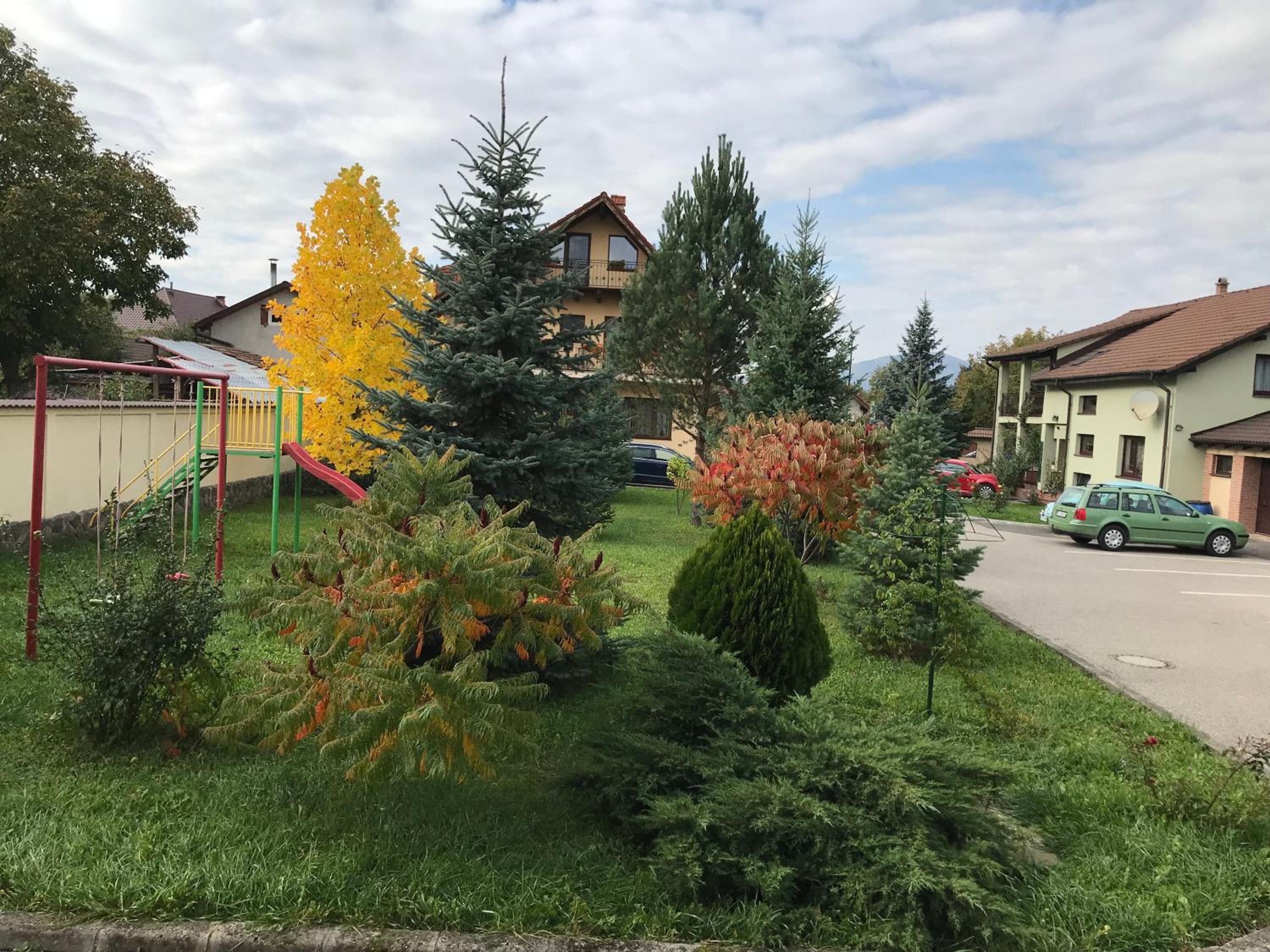 Photo 28