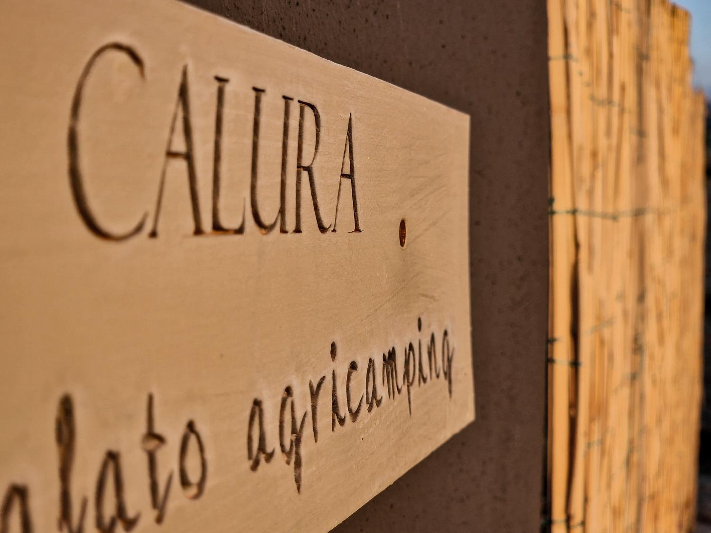 Ortosalato Agricamping