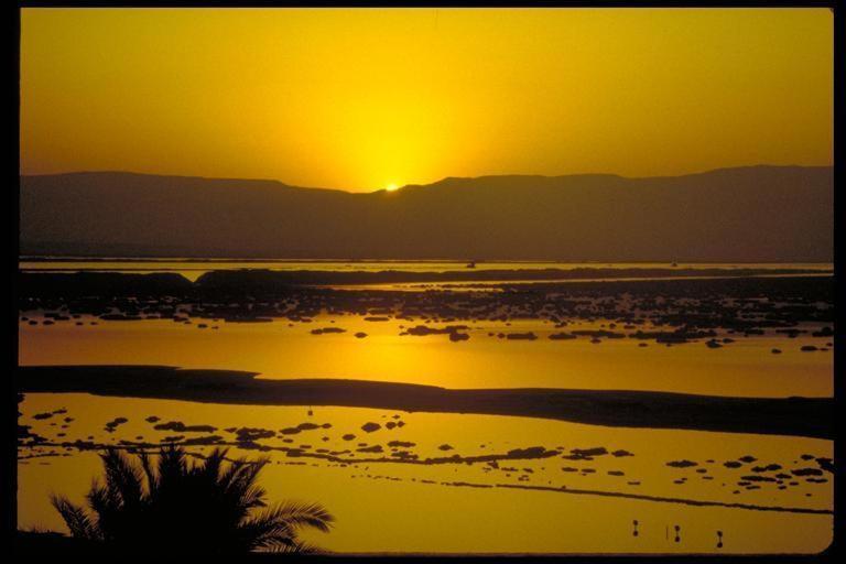 Rose Dead Sea Neve Zohar view 4