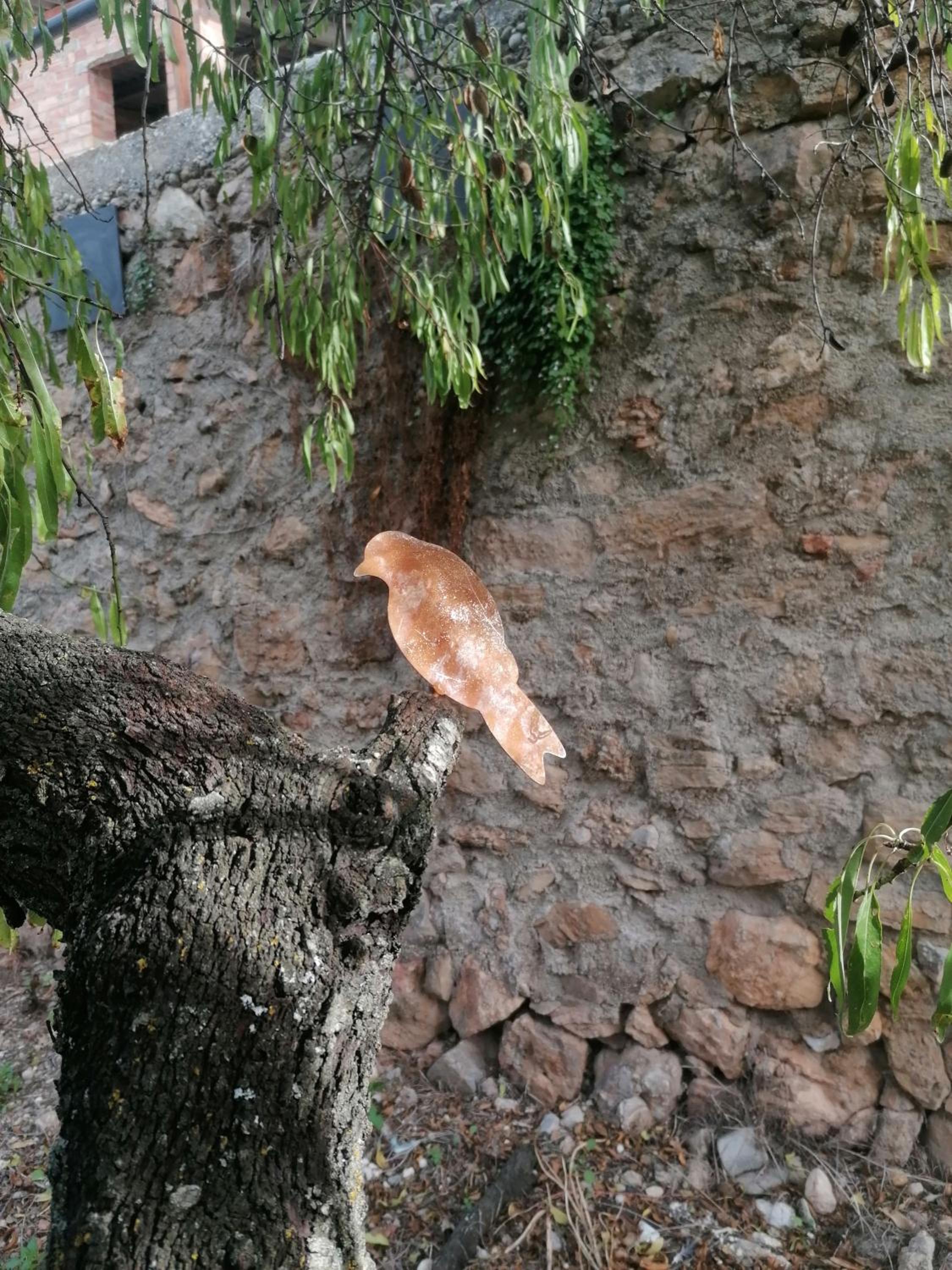 Photo 36